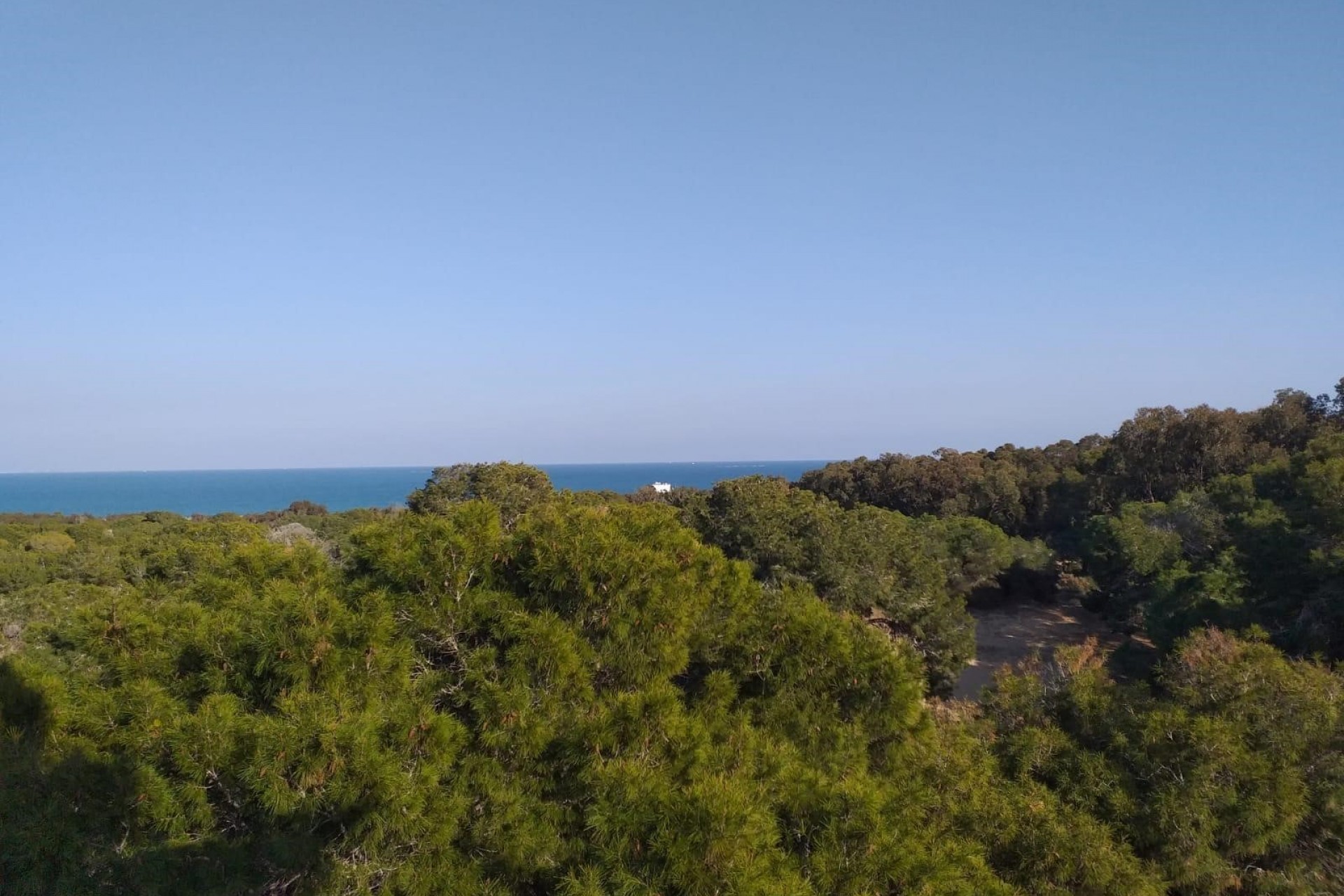Nieuwbouw Woningen - Penthouse -
Guardamar del Segura - guardamar del segura