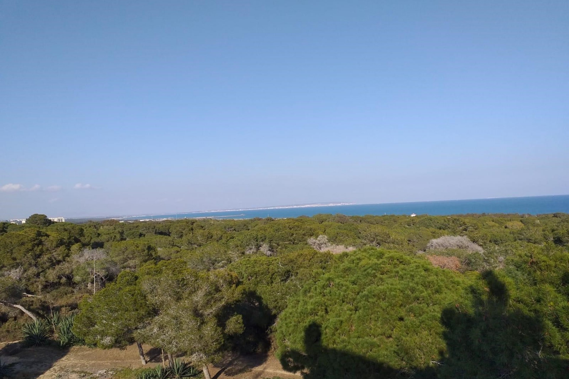 Nieuwbouw Woningen - Penthouse -
Guardamar del Segura - guardamar del segura