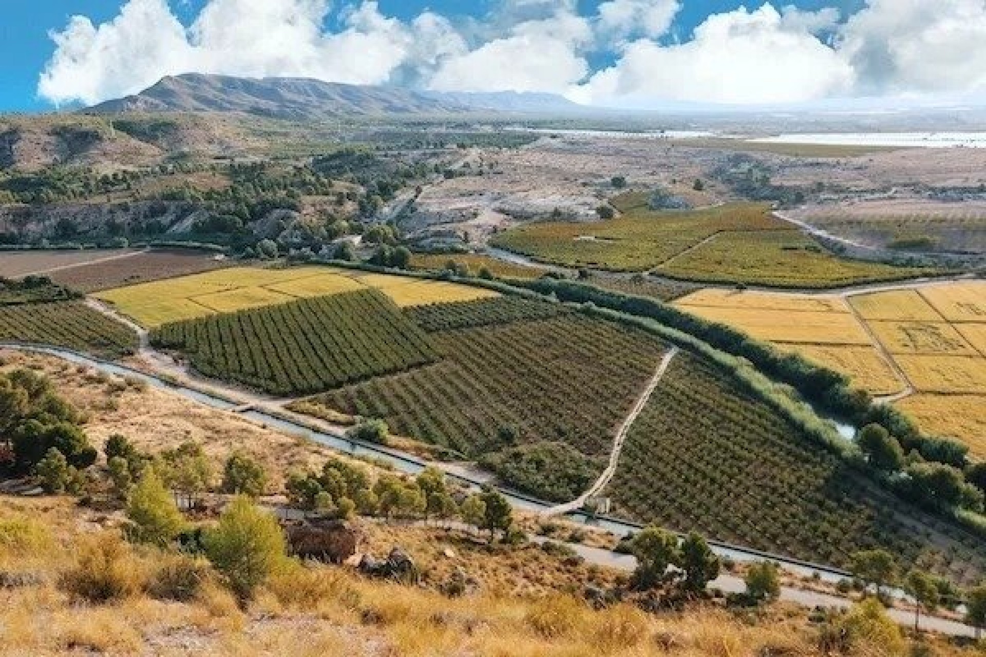 Nieuwbouw Woningen - Villa -
Calasparra