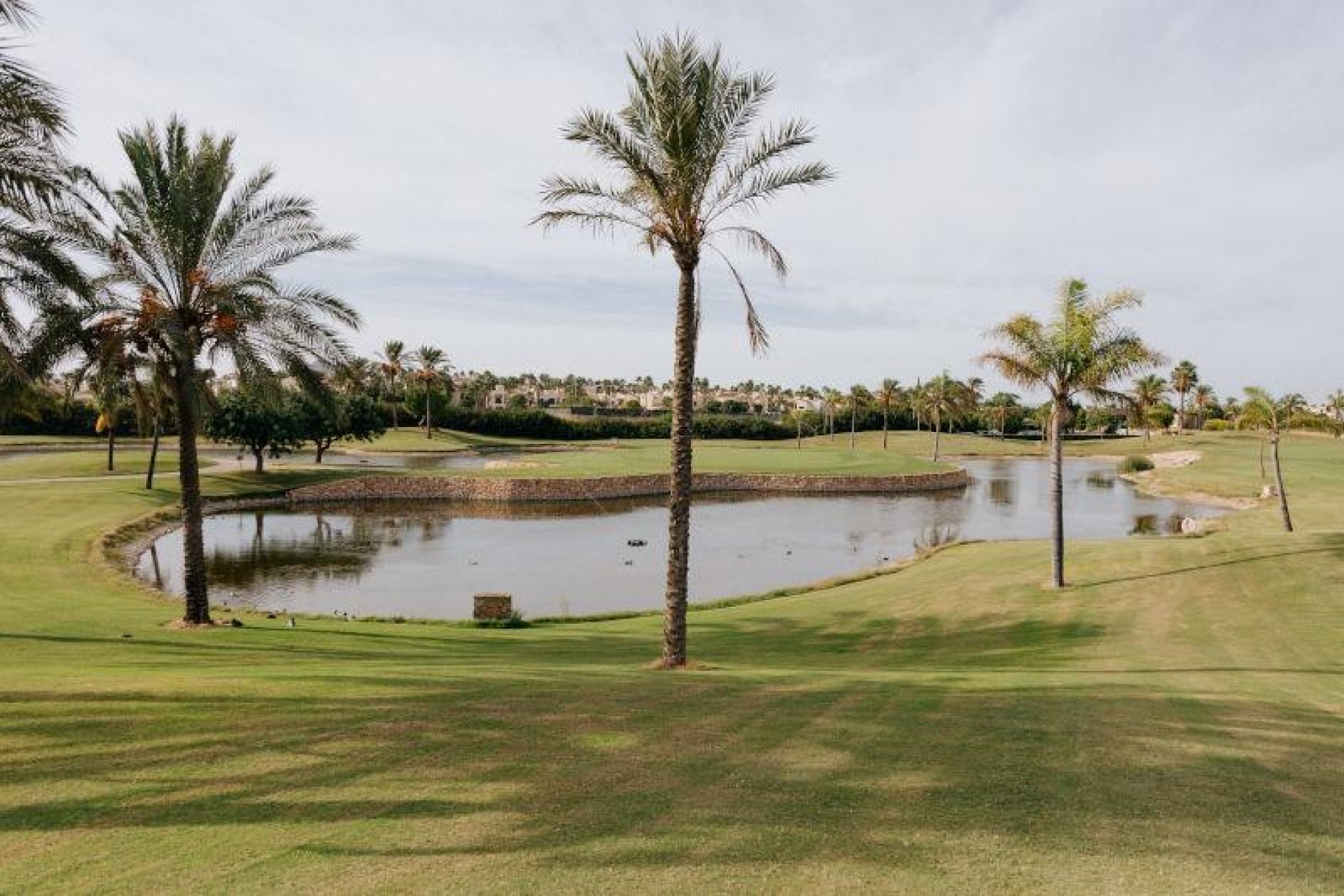 Nieuwbouw Woningen - Villa -
San Javier - Santiago de la Ribera