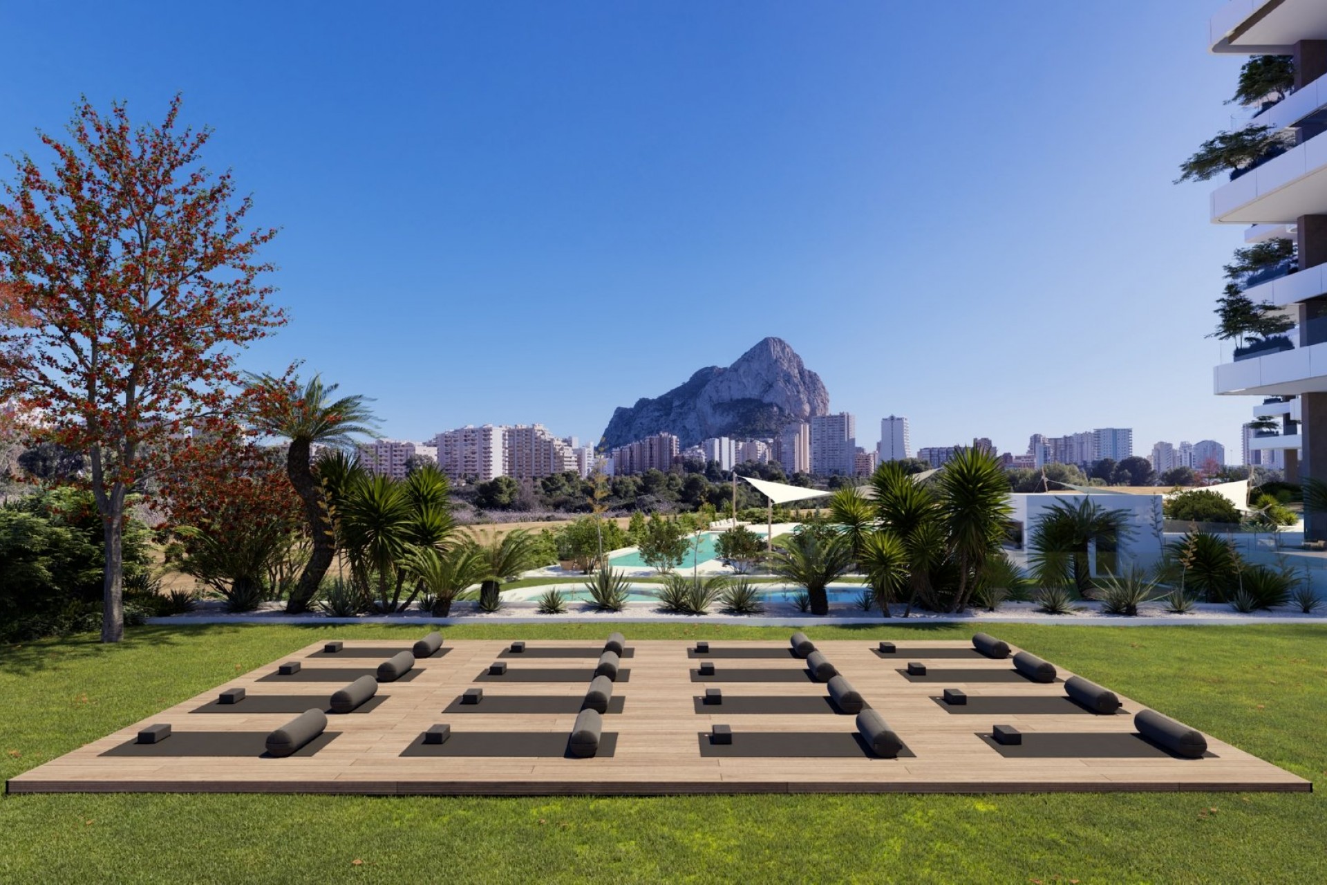 Nouvelle construction - Apartamento -
Calpe