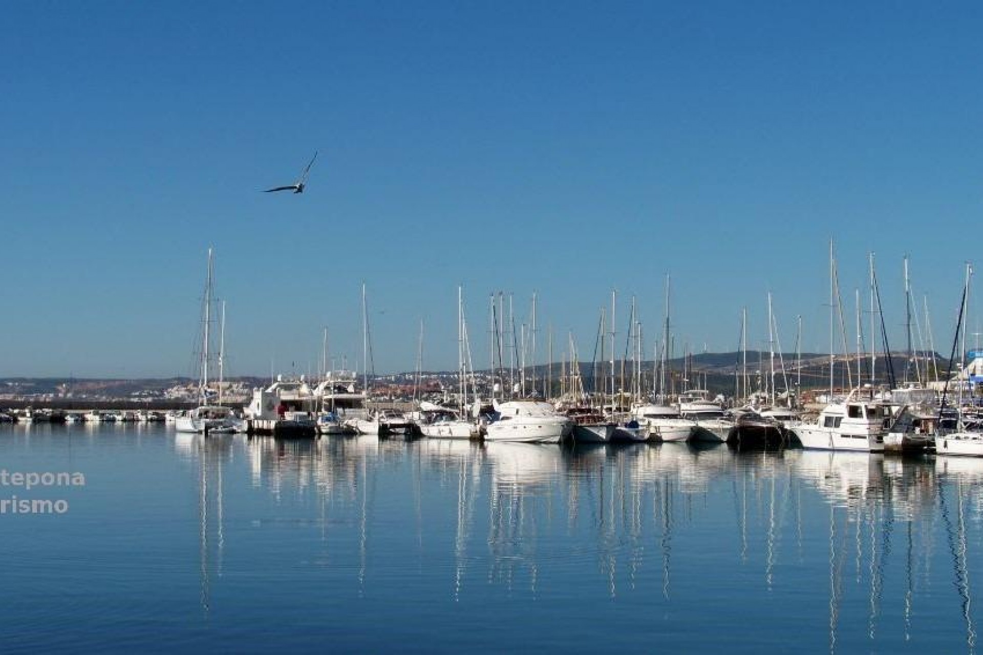 Nouvelle construction - Apartment -
Estepona