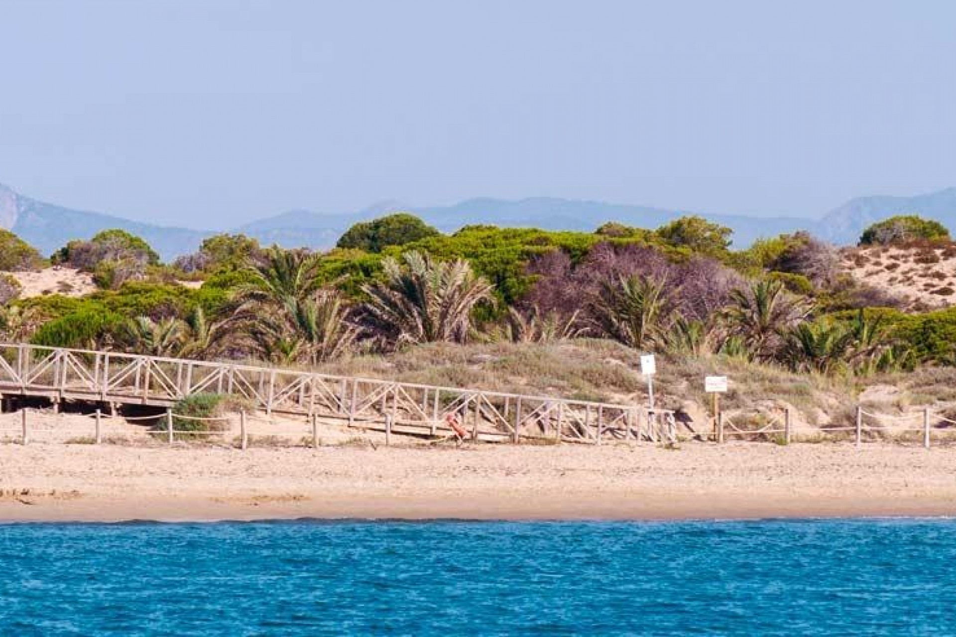 Nouvelle construction - Attique -
Guardamar del Segura - Pueblo