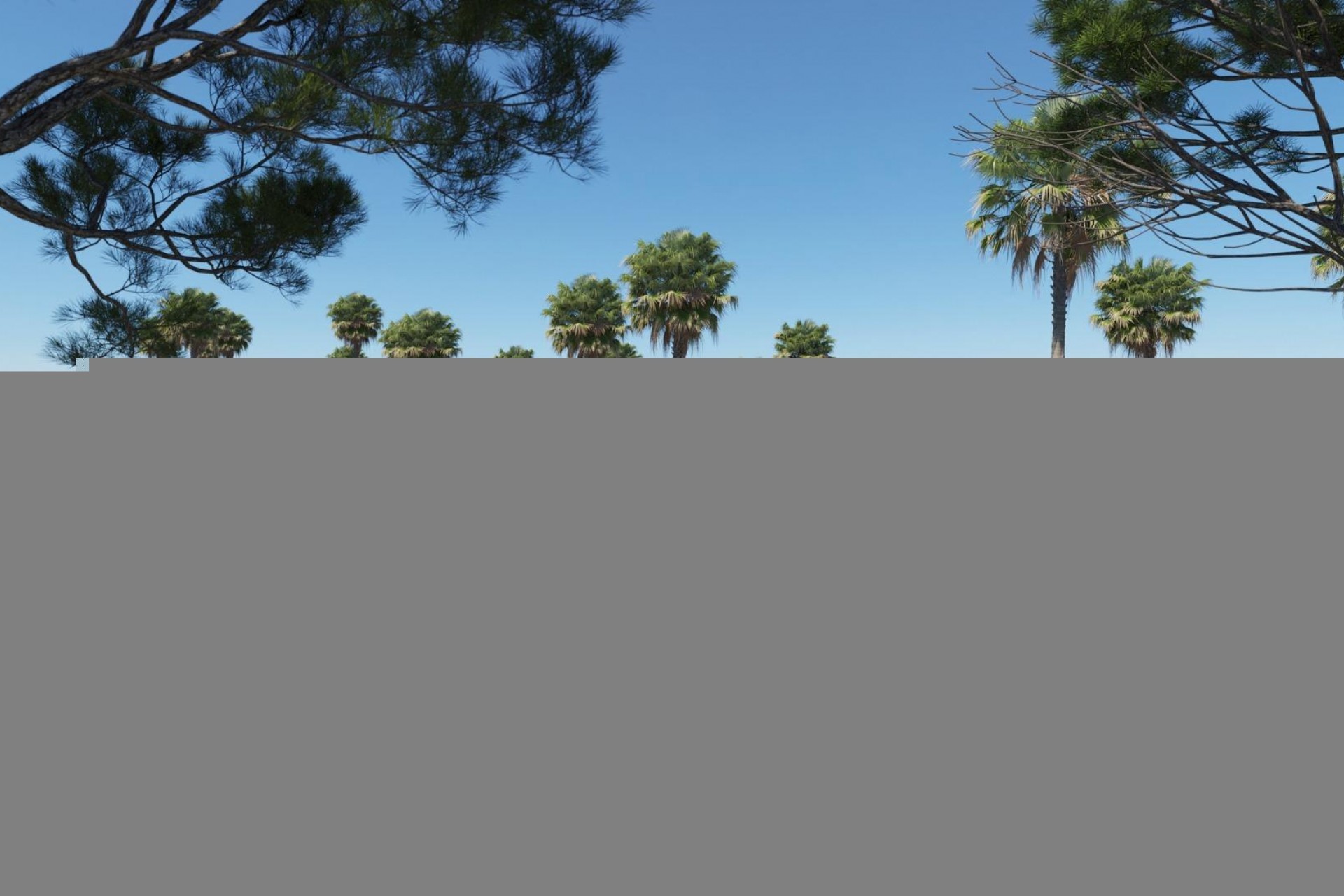 Nouvelle construction - Ground floor apartment -
San Roque