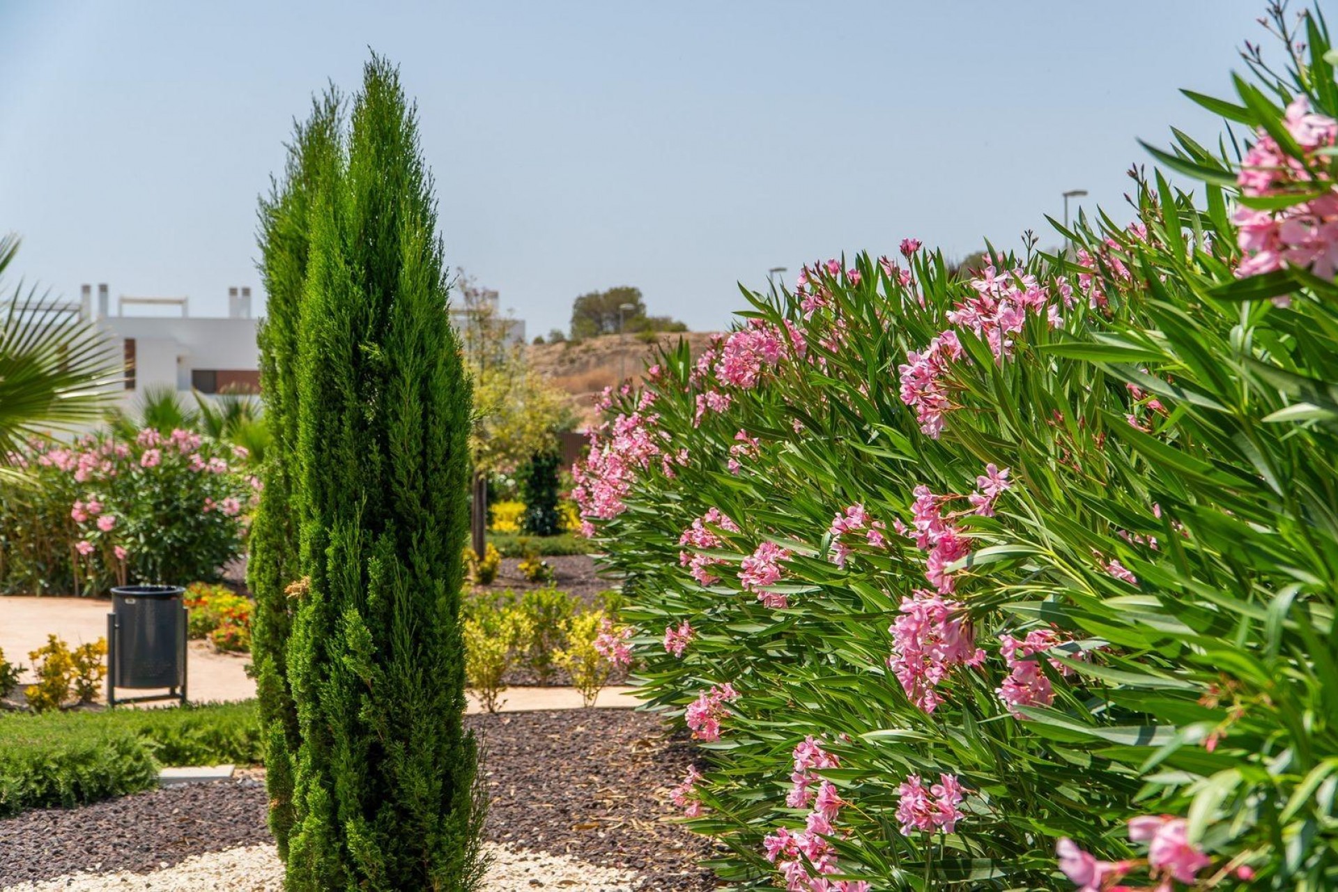 Nouvelle construction - Town house -
Orihuela