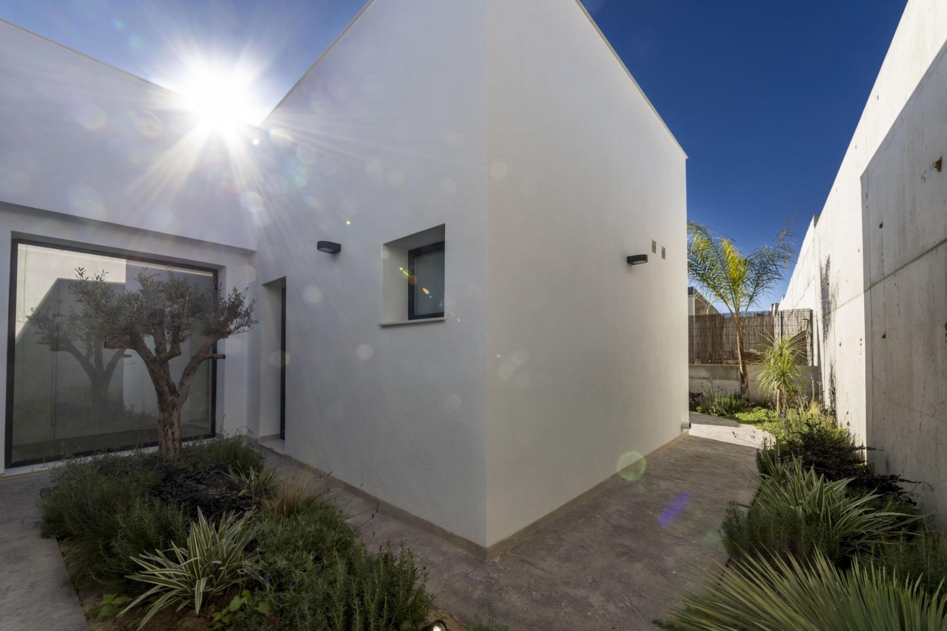 Nouvelle construction - Villa -
BAÑOS Y MENDIGO