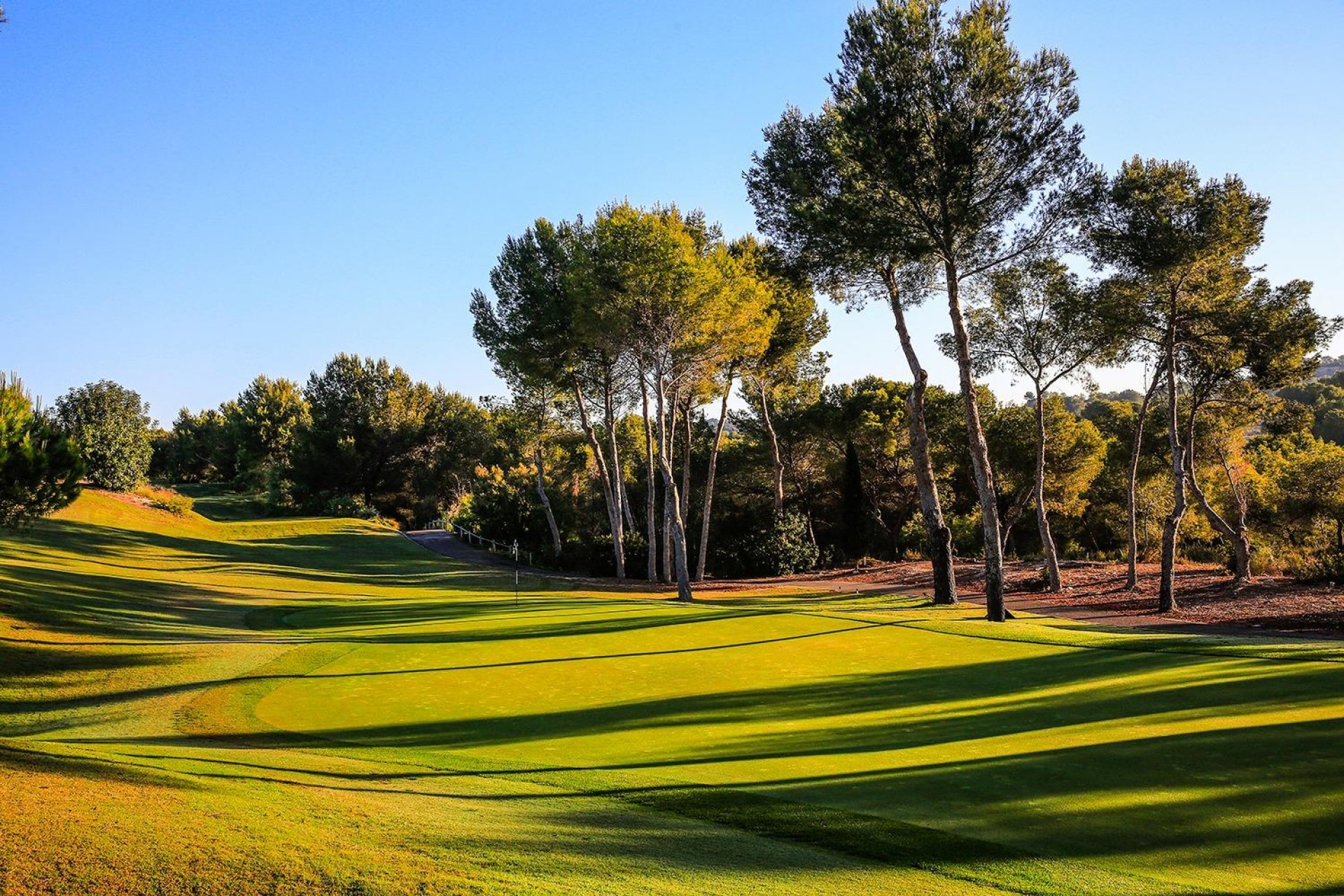 Nouvelle construction - Villa -
Orihuela