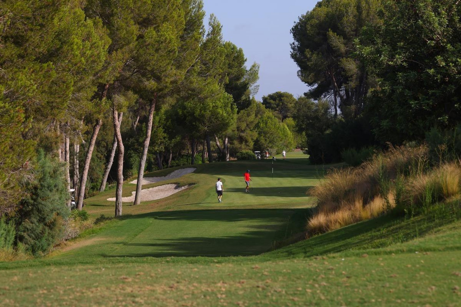 Nouvelle construction - Villa -
Orihuela