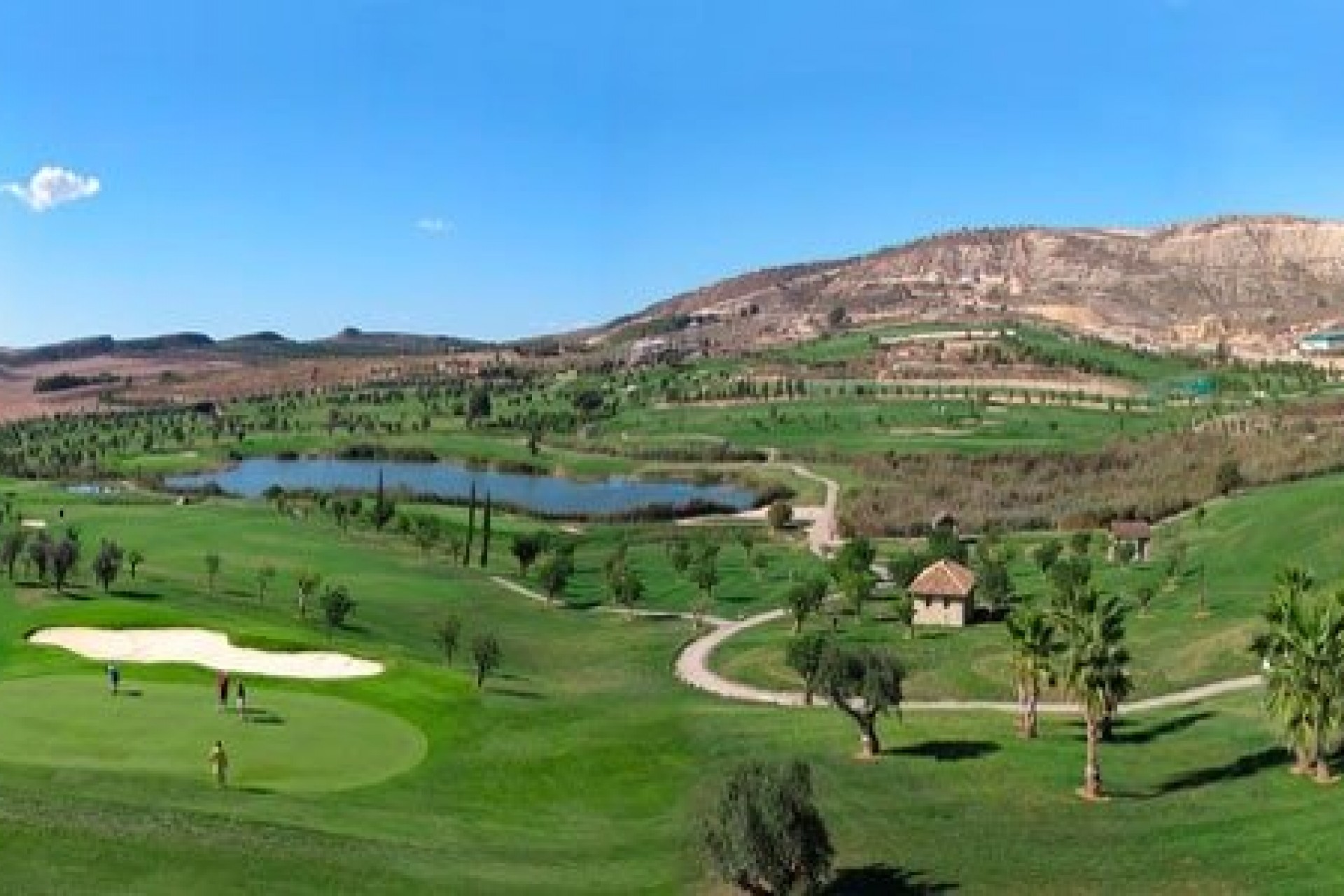 Nueva construcción  - Bungalow -
Algorfa - La finca golf
