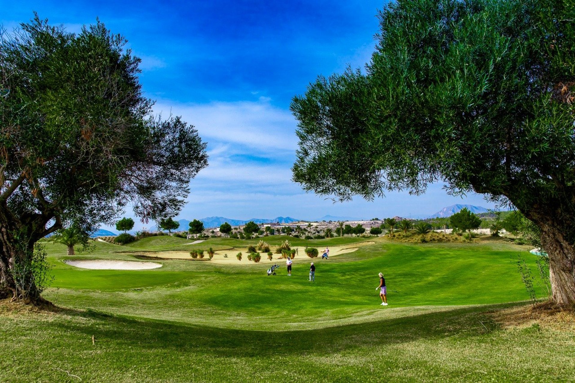 Nueva construcción  - Bungalow -
Orihuela - Vistabella Golf
