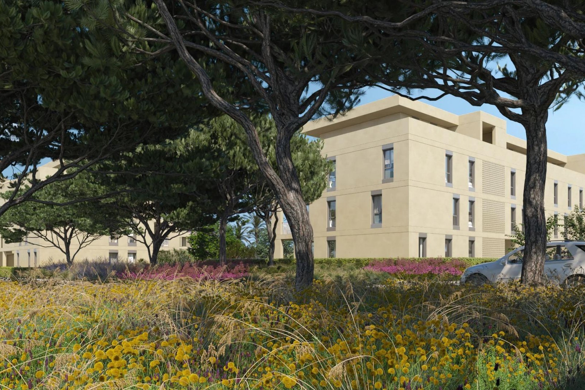 Nueva construcción  - Piso -
Denia - Camí de Sant Joan