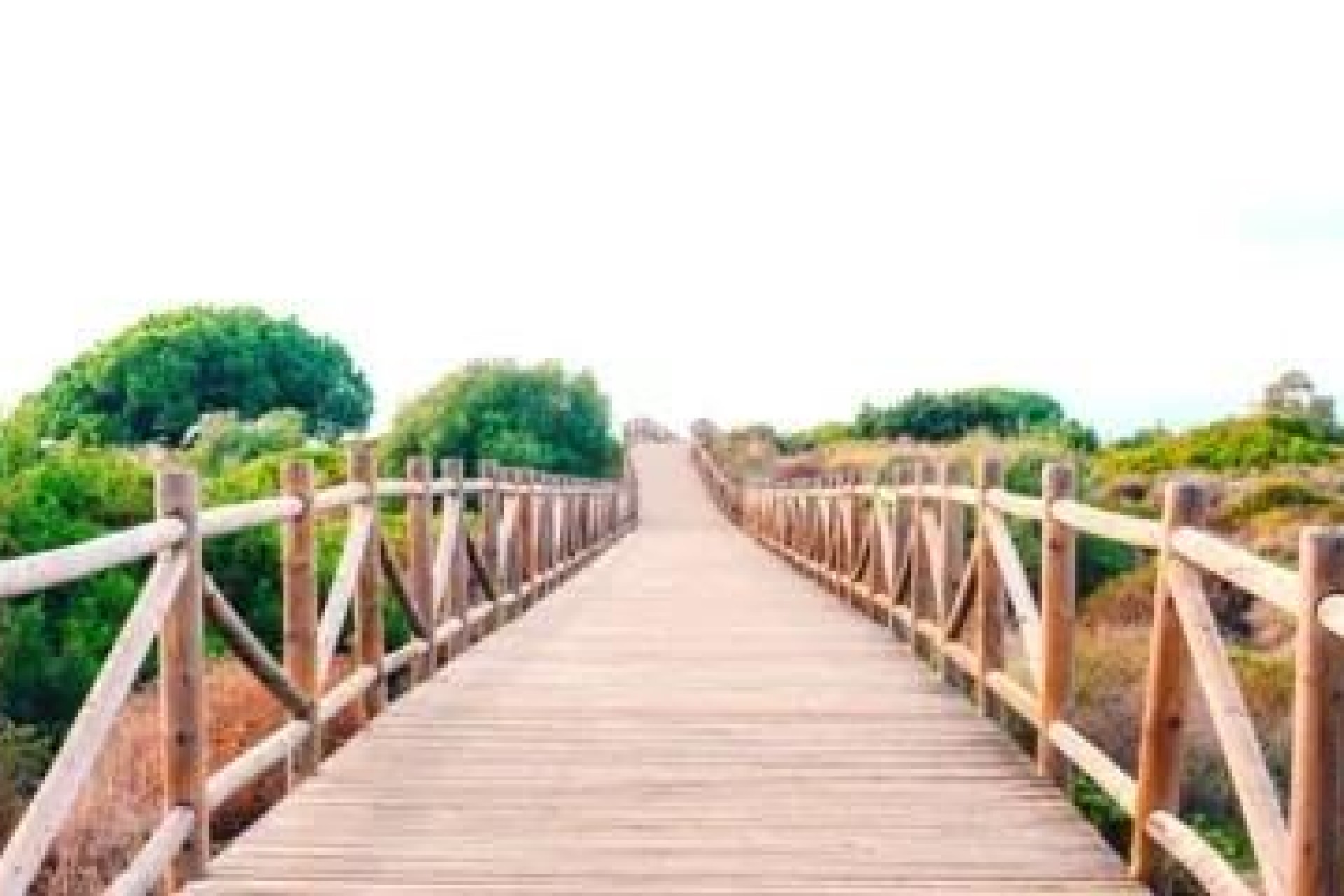 Nueva construcción  - Piso -
Marbella - Cabopino