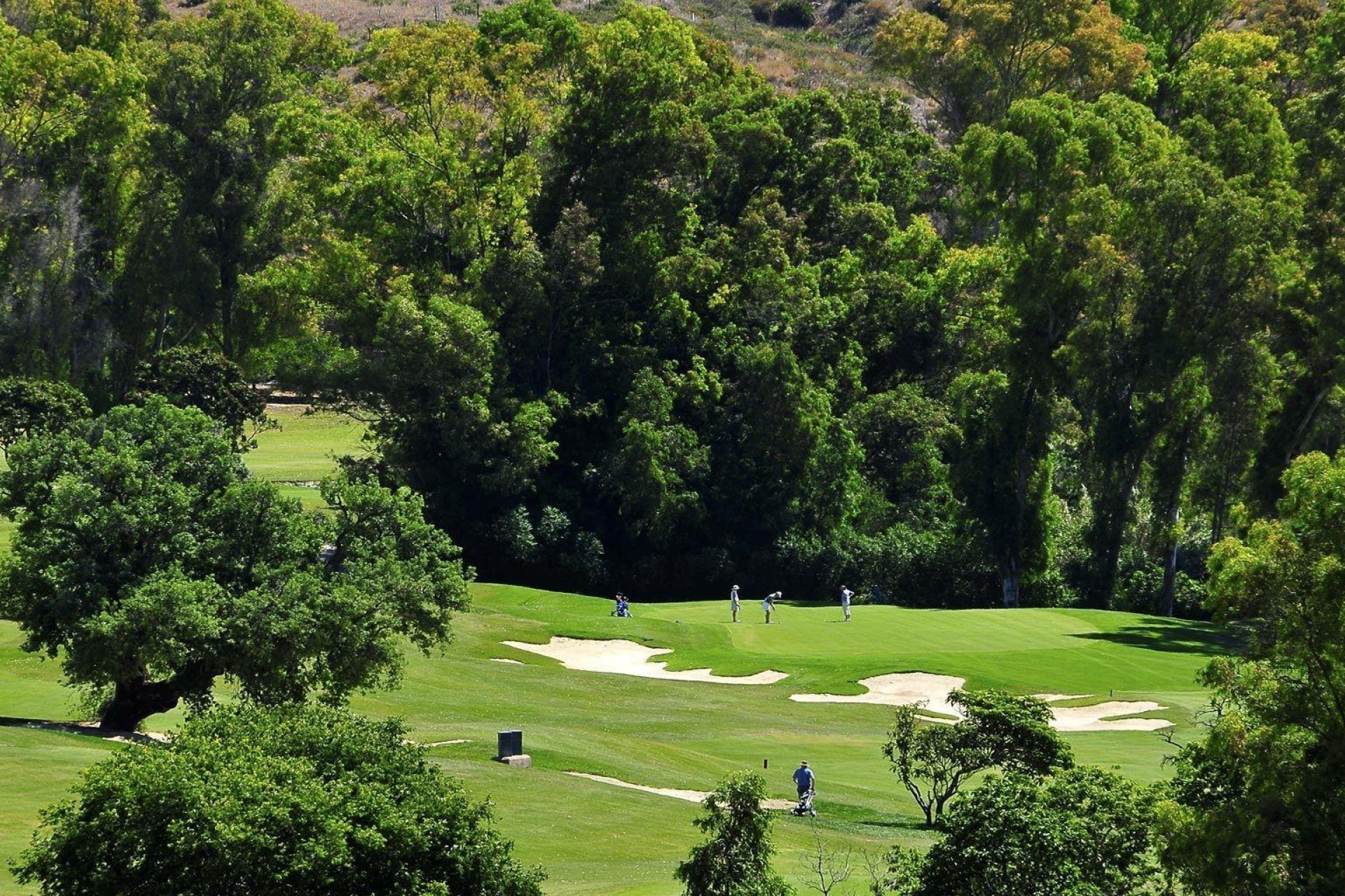 Nueva construcción  - Piso -
Mijas - Mijas Golf