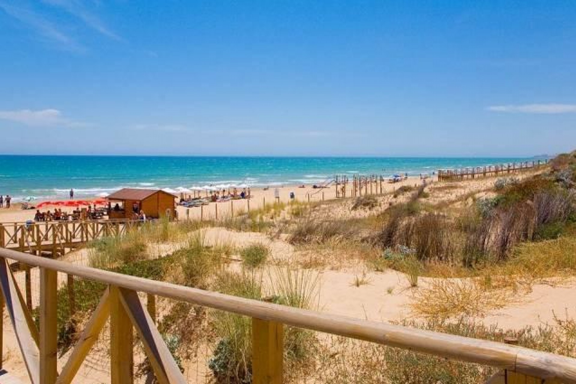 Nueva construcción  - Villa -
Benijofar - Pueblo