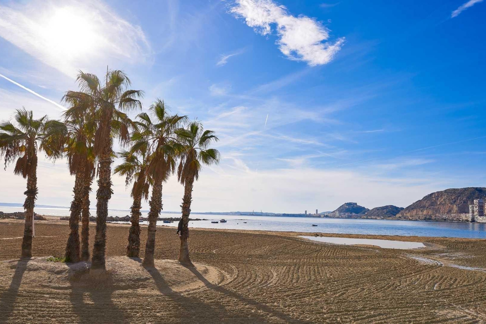 Nueva construcción  - Villa -
Els Poblets - Partida Barranquets