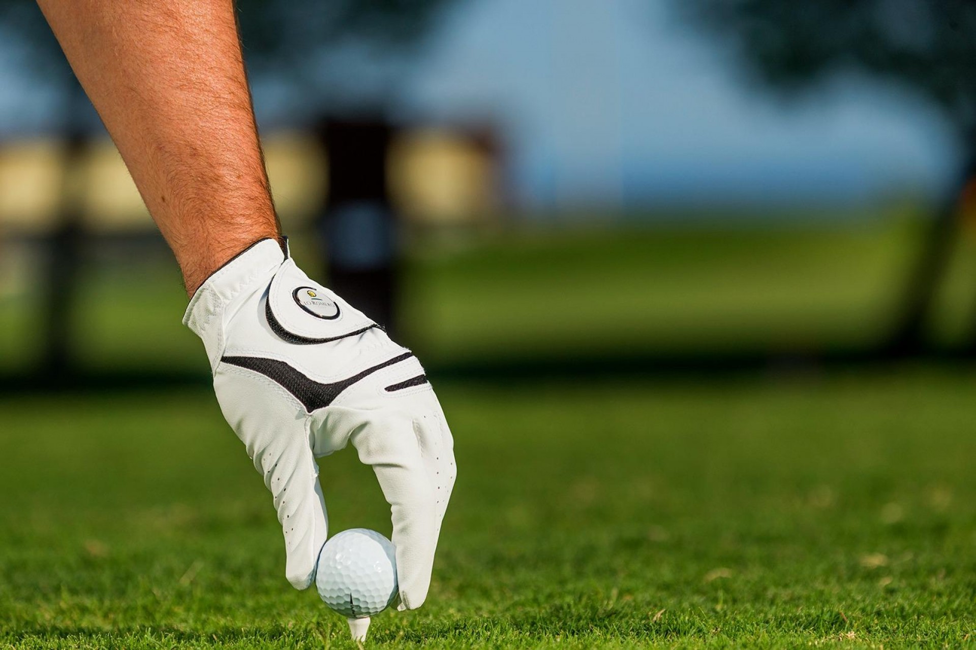 Nueva construcción  - Villa -
Pilar de la Horadada - Lo Romero Golf