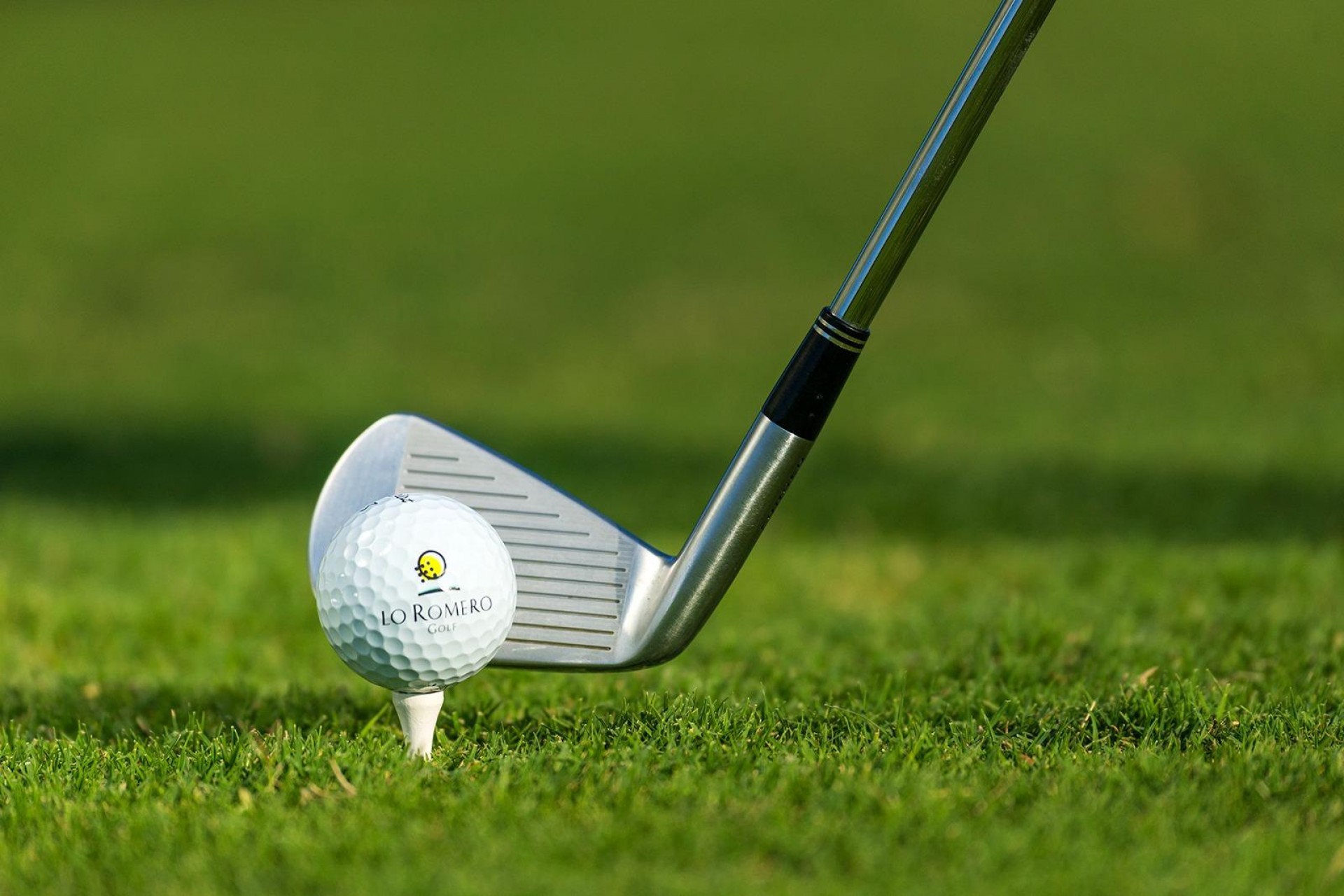 Nueva construcción  - Villa -
Pilar de la Horadada