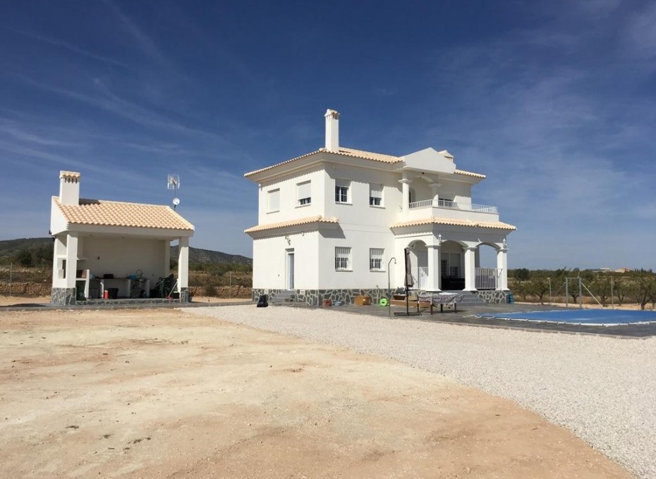 Nueva construcción  - Villa -
Pinoso