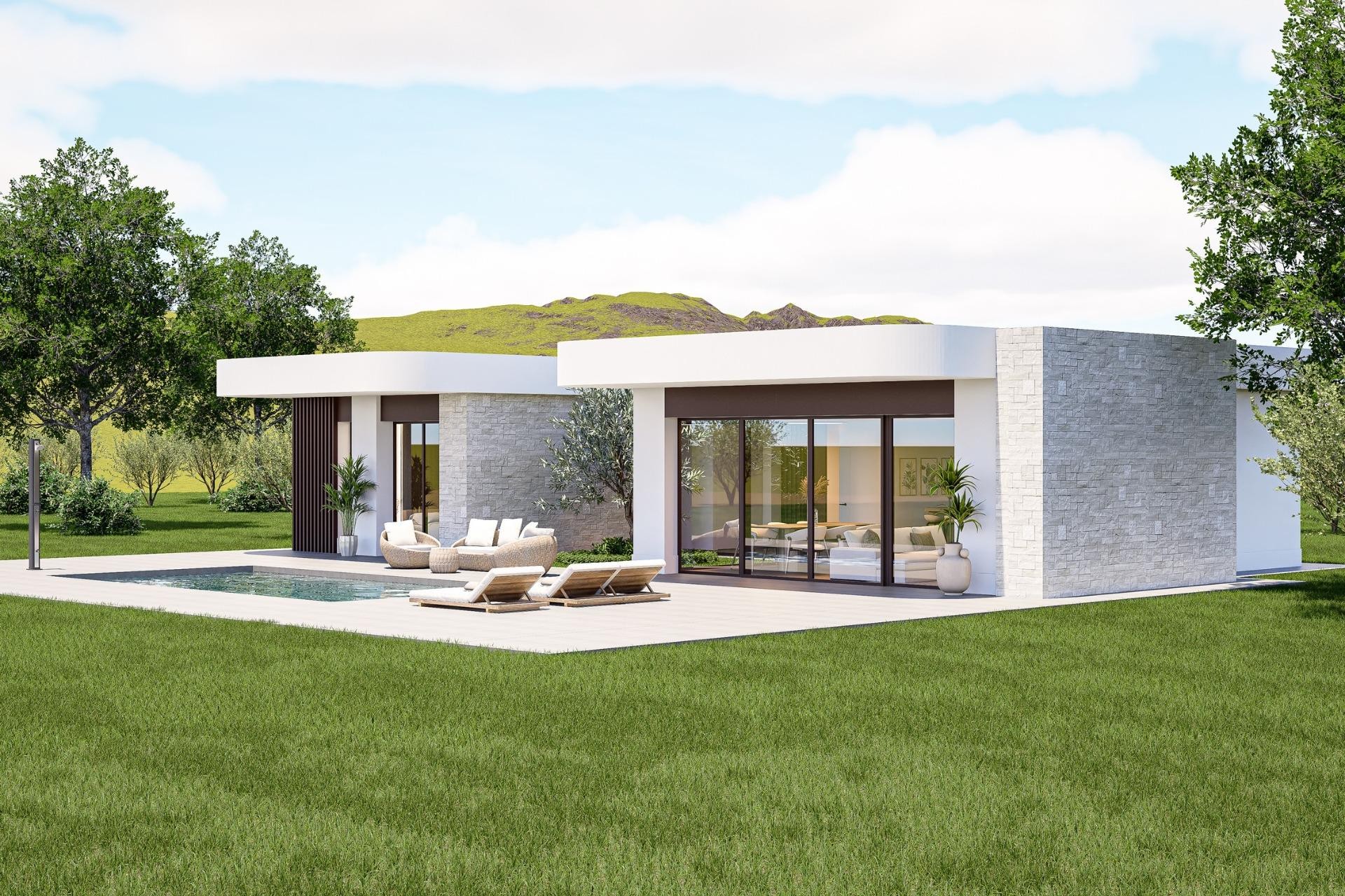 Nueva construcción  - Villa -
Pinoso