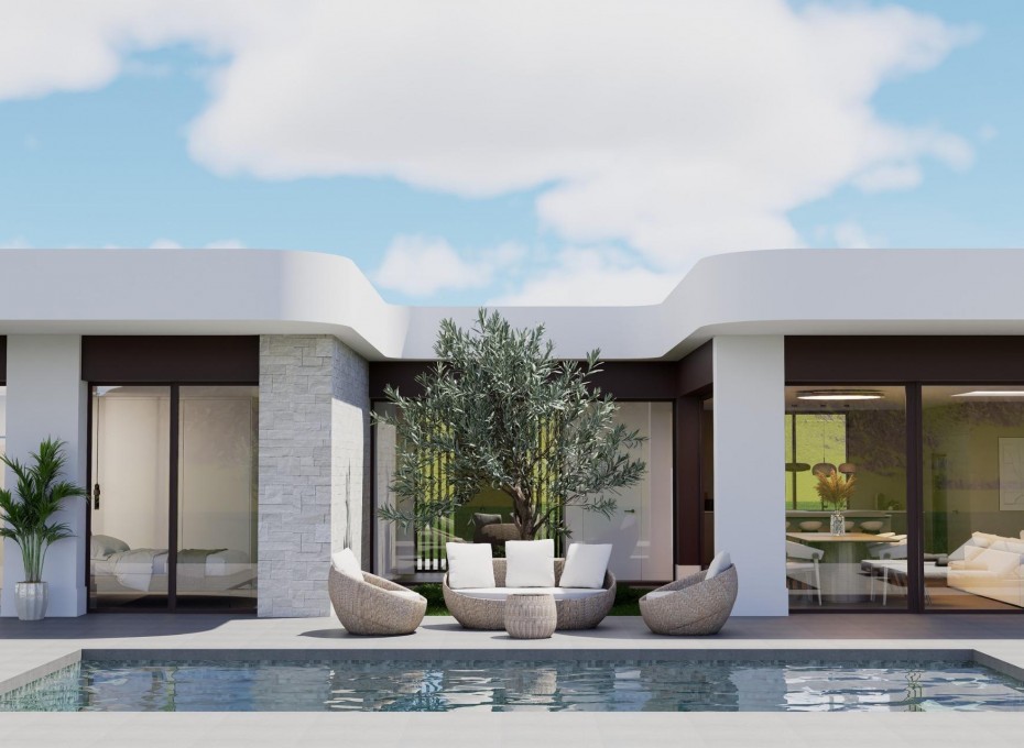 Nueva construcción  - Villa -
Pinoso