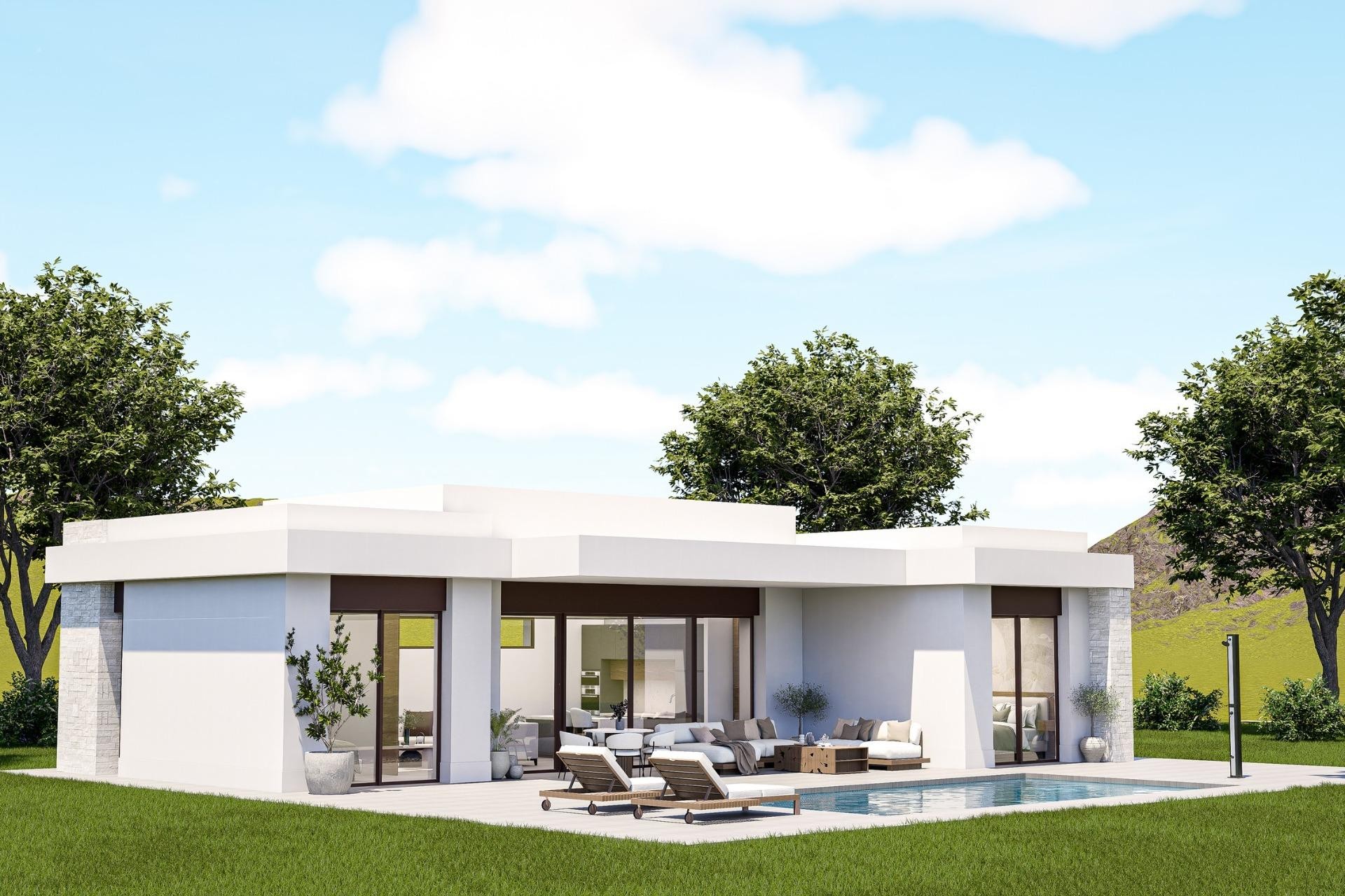 Nueva construcción  - Villa -
Pinoso