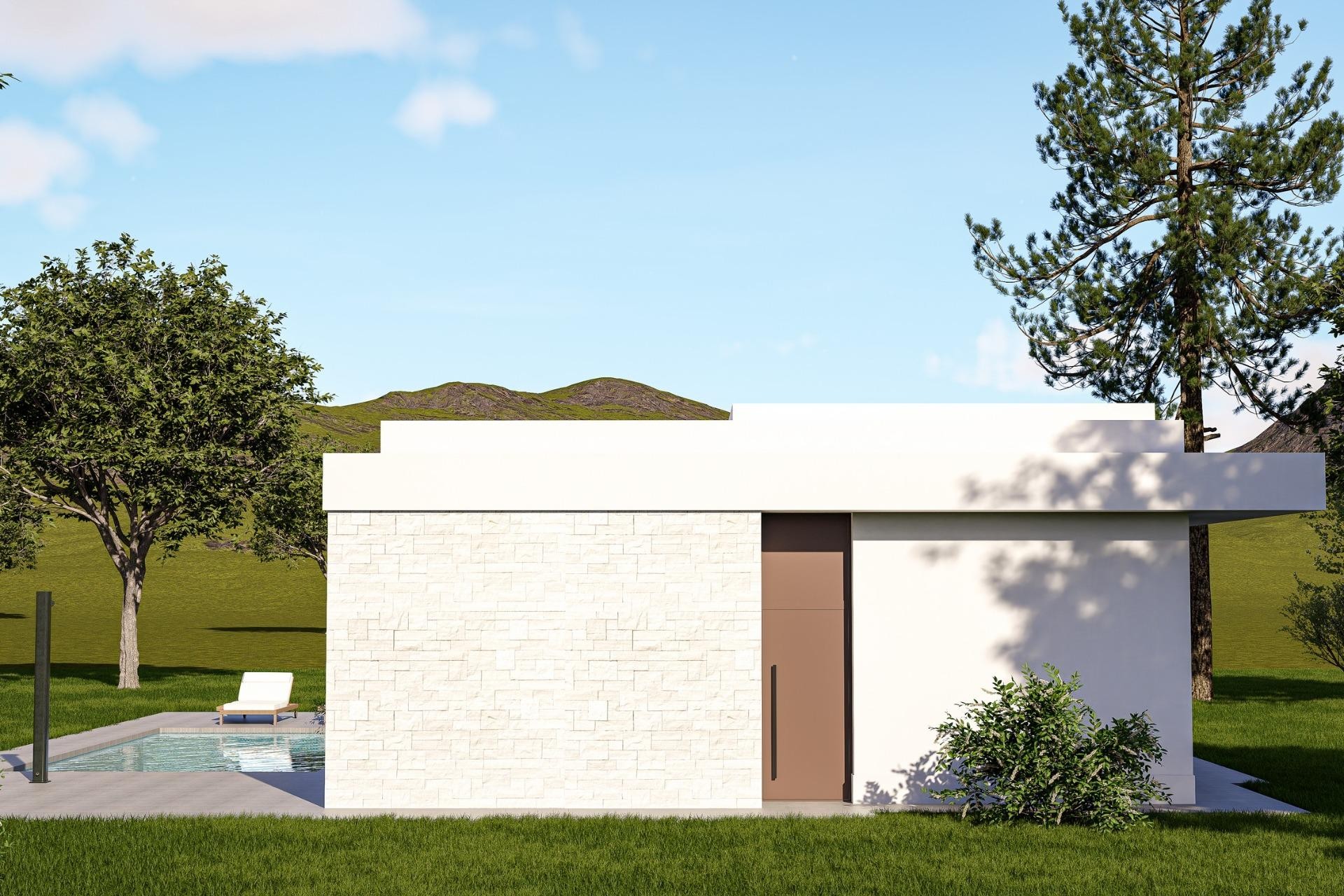 Nueva construcción  - Villa -
Pinoso