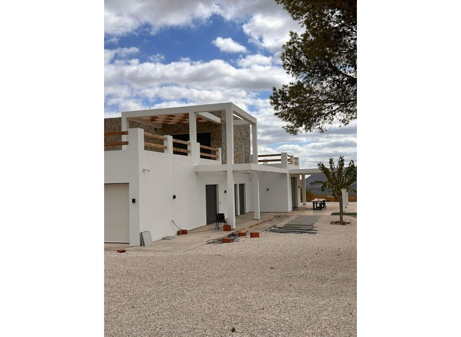 Nueva construcción  - Villa -
Pinoso