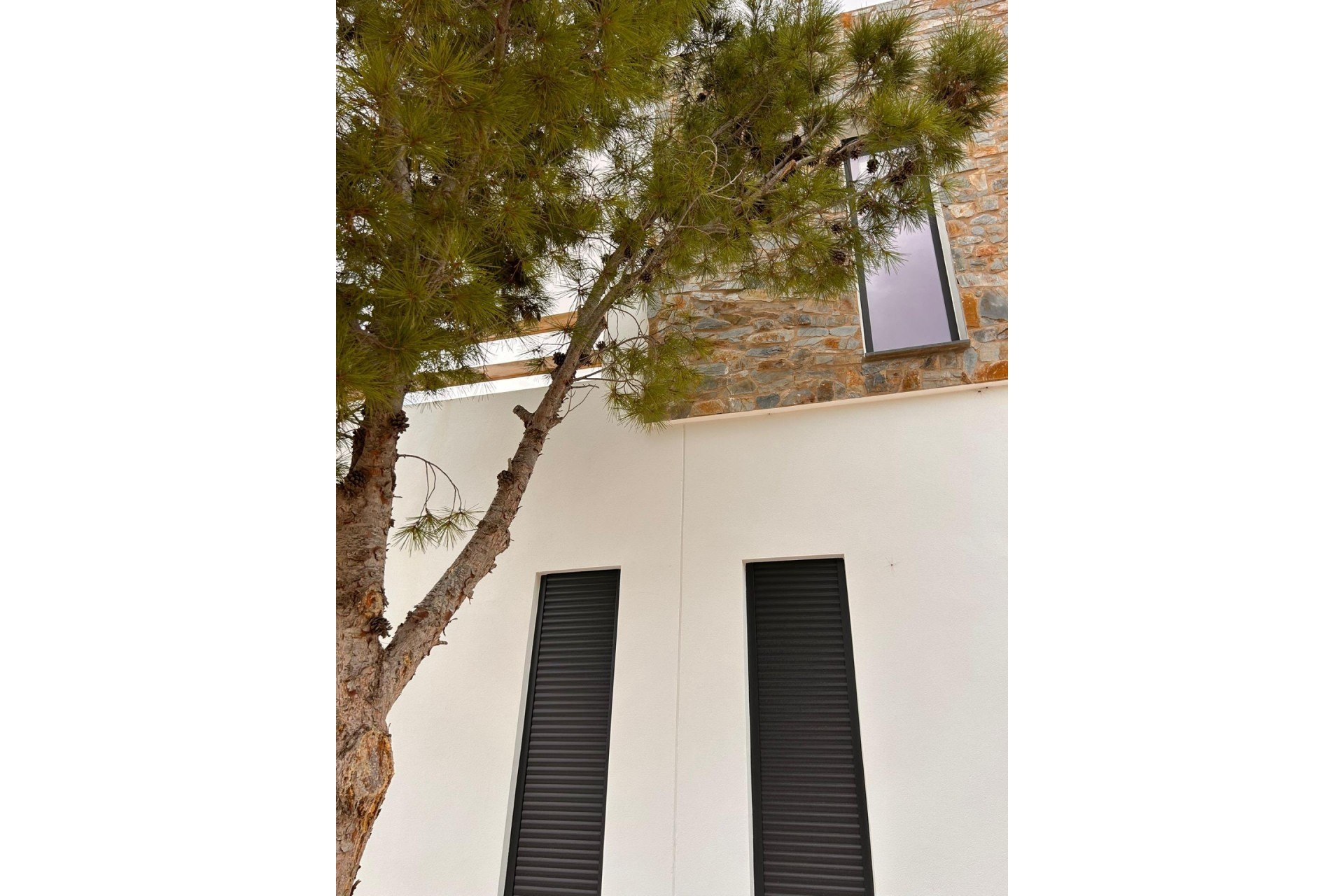 Nueva construcción  - Villa -
Pinoso
