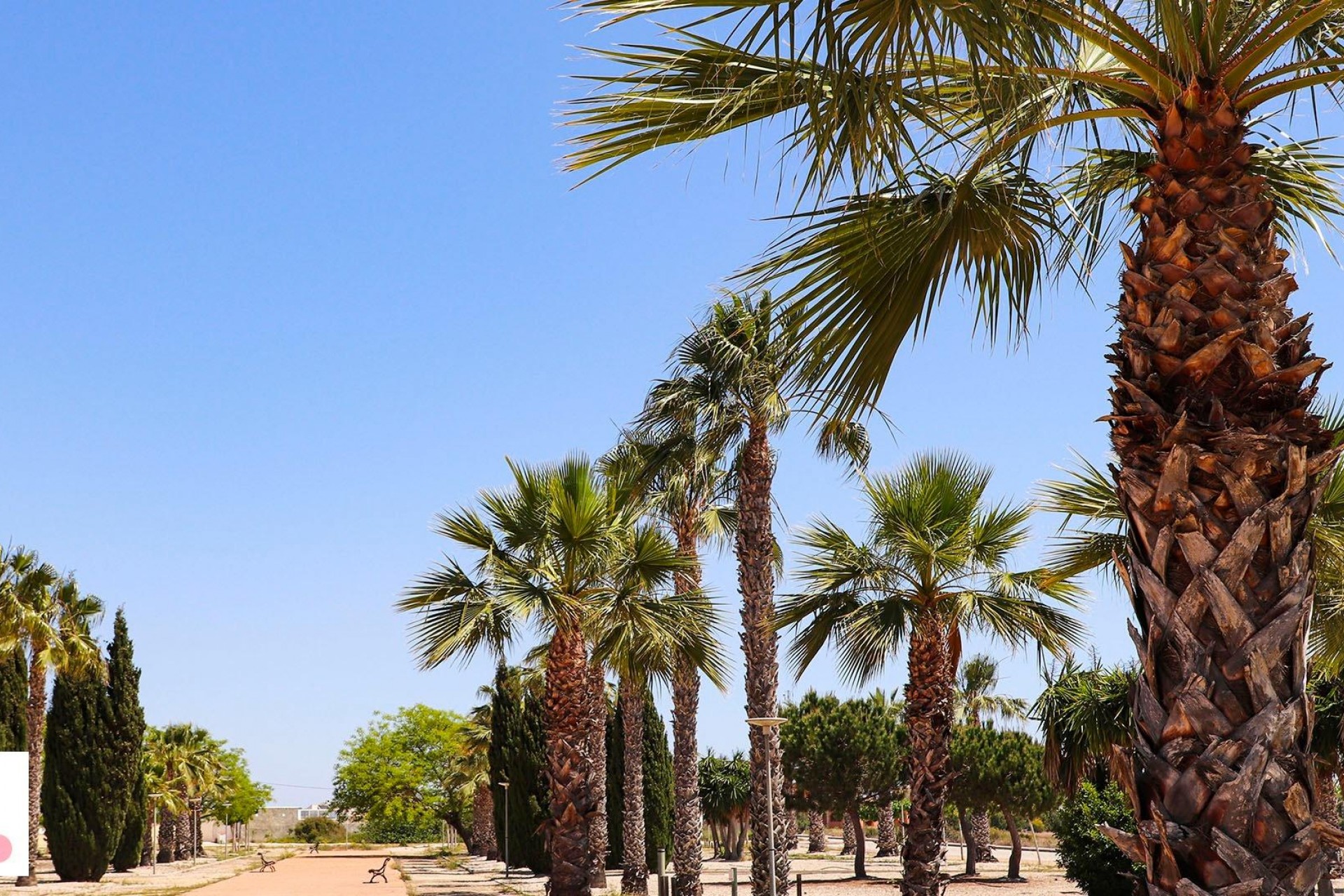 Nueva construcción  - Villa -
San Fulgencio - La Escuera