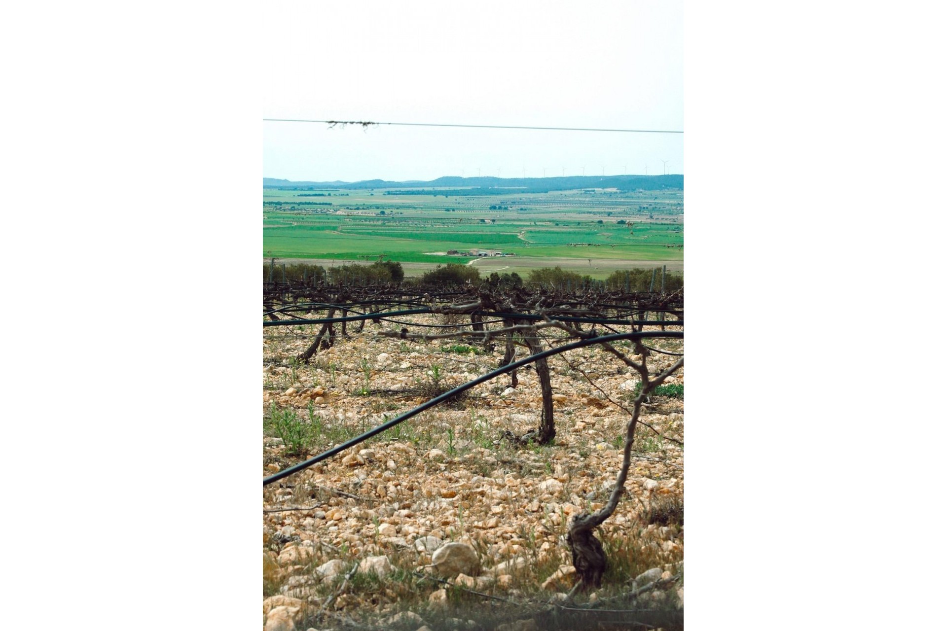 Nueva construcción  - Villa -
Yecla