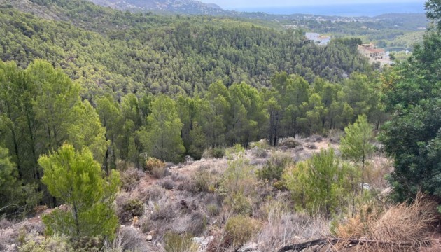 Plot - Herverkoop - Callosa De Ensarrià - Callosa De Ensarrià