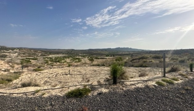 Plot of Land - Resale - Torremendo - Torremendo