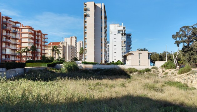 Plot - Wiederverkauf - Guardamar del Segura - Guardamar pueblo