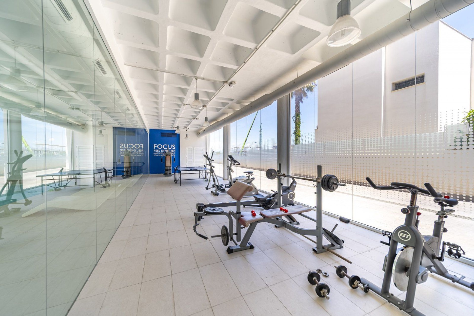 Resale - Apartamento -
Guardamar del Segura