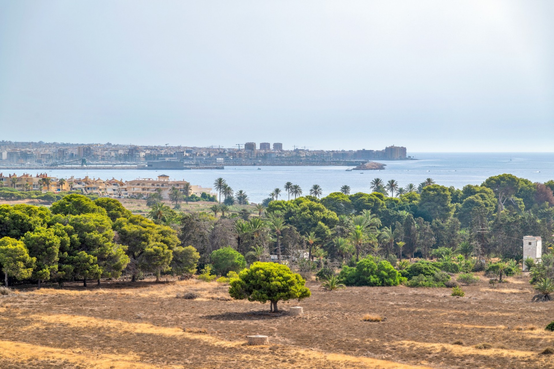 Resale - Apartamento -
Torrevieja - Punta prima