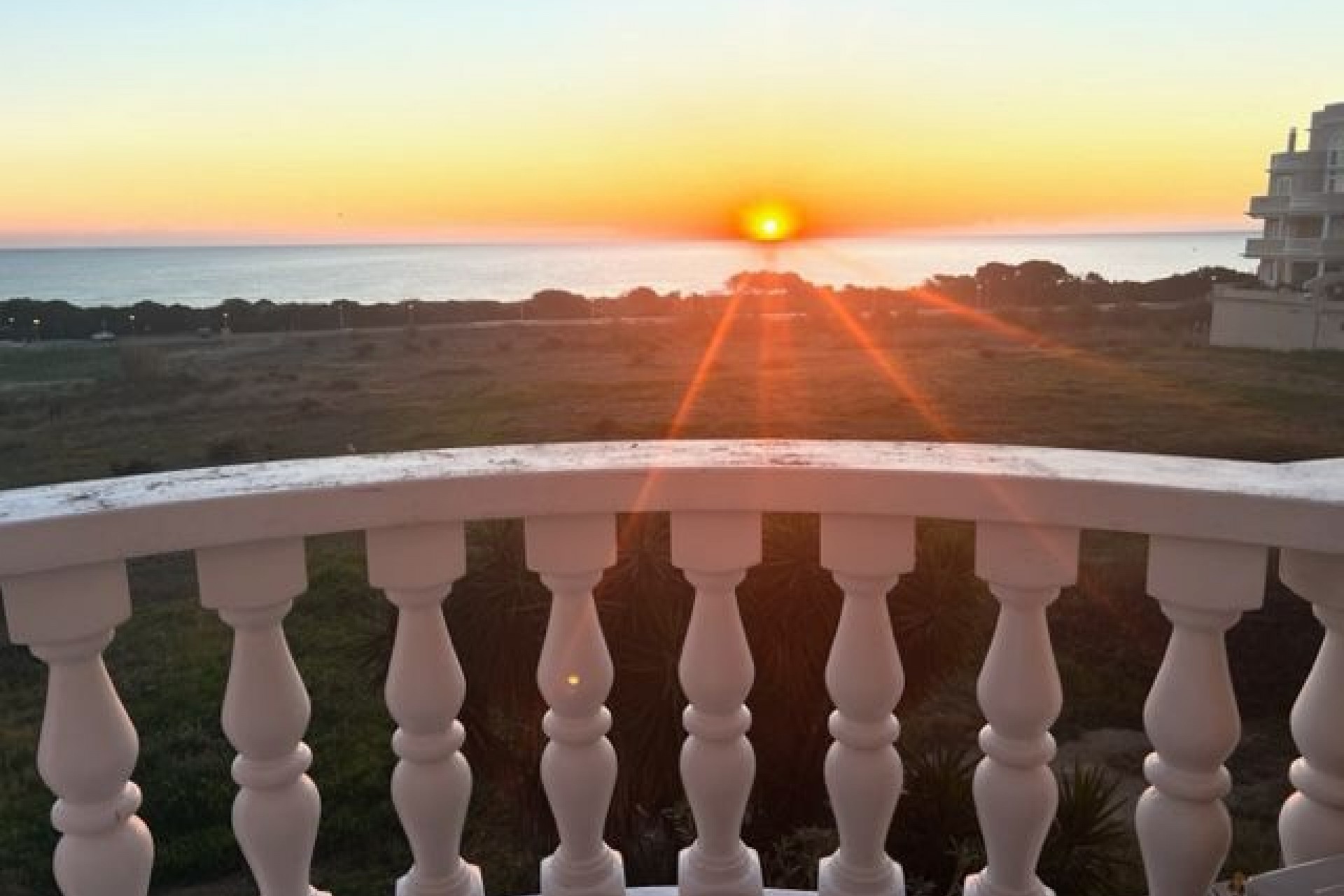 Resale - Apartment - Flat -
Guardamar del Segura - Valencian Community