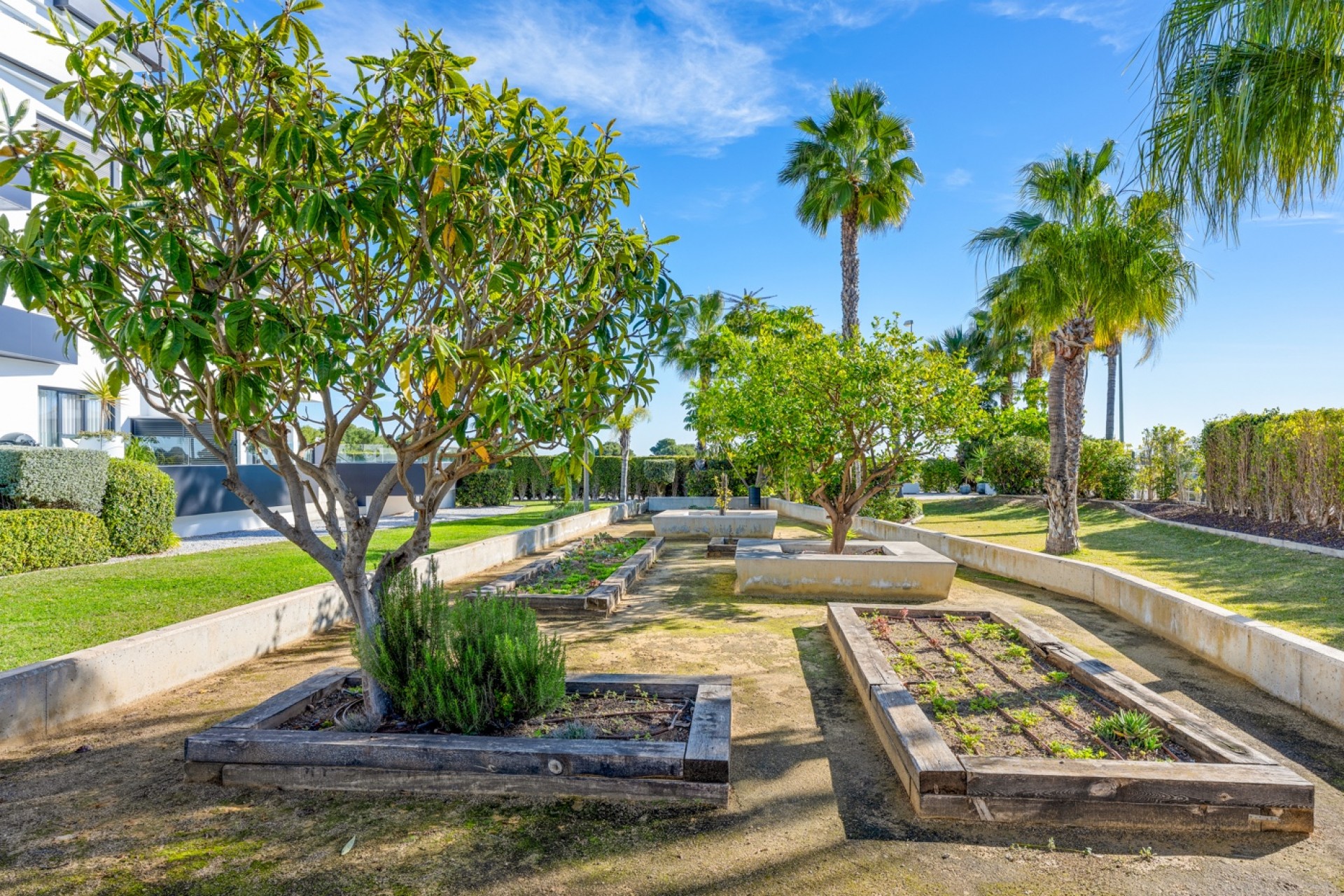 Resale - Apartment -
Orihuela Costa - Los Dolses