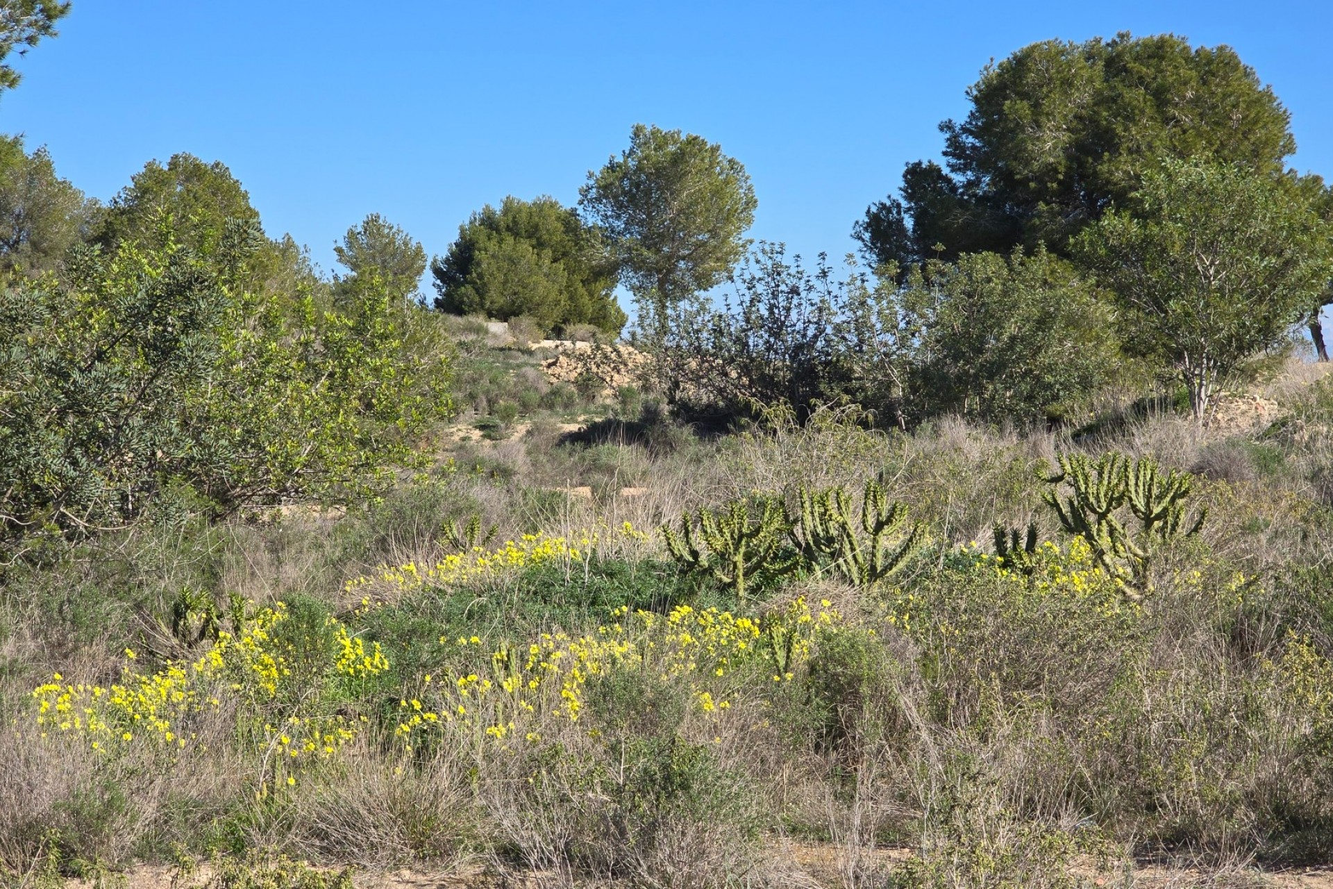 Resale - Apartment -
Orihuela Costa - Villamartín