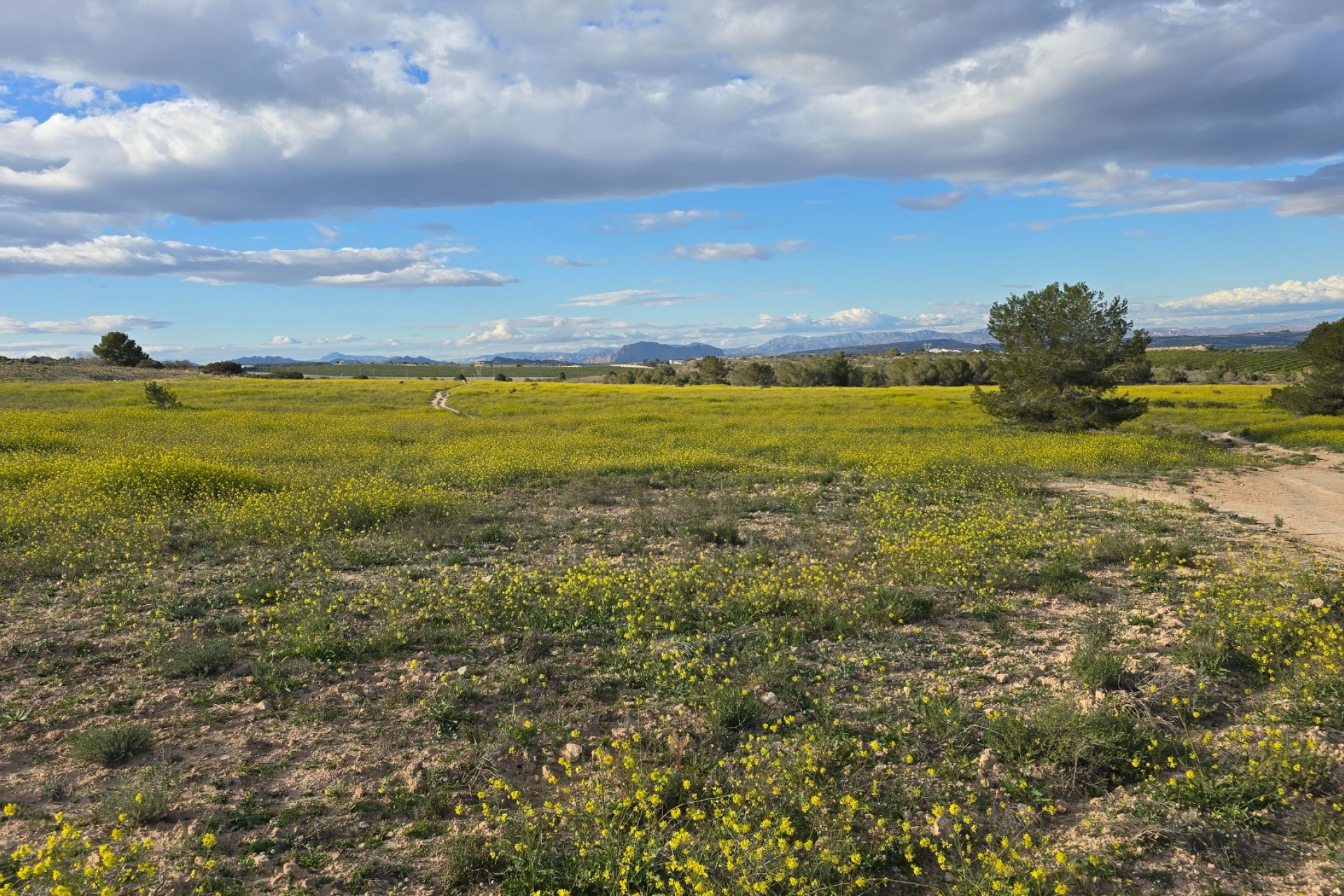 Resale - Apartment -
Orihuela Costa - Villamartín