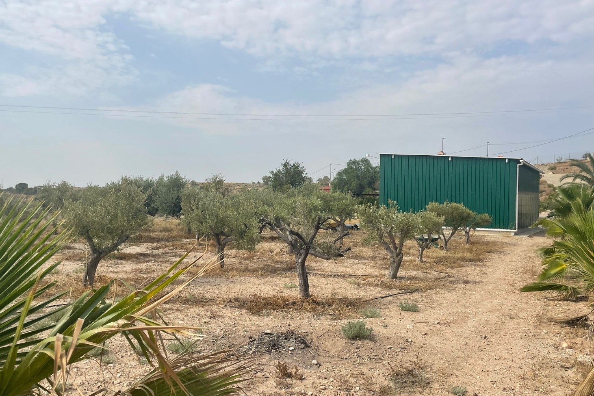 Resale - Country House -
Abanilla