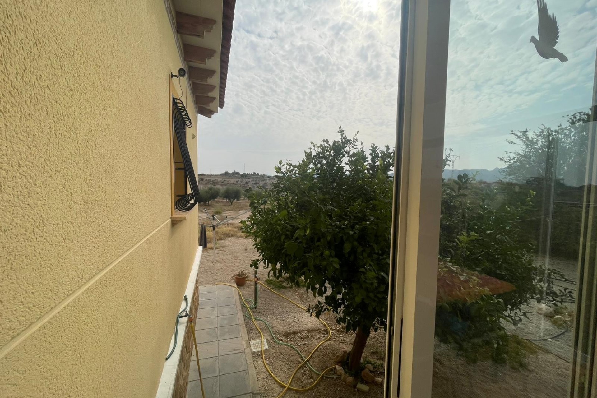 Resale - Country House -
Abanilla