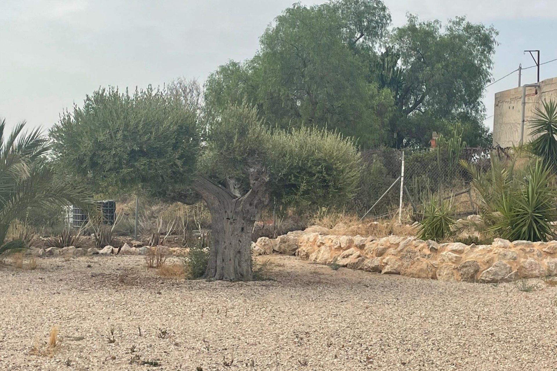 Resale - Country House -
Abanilla