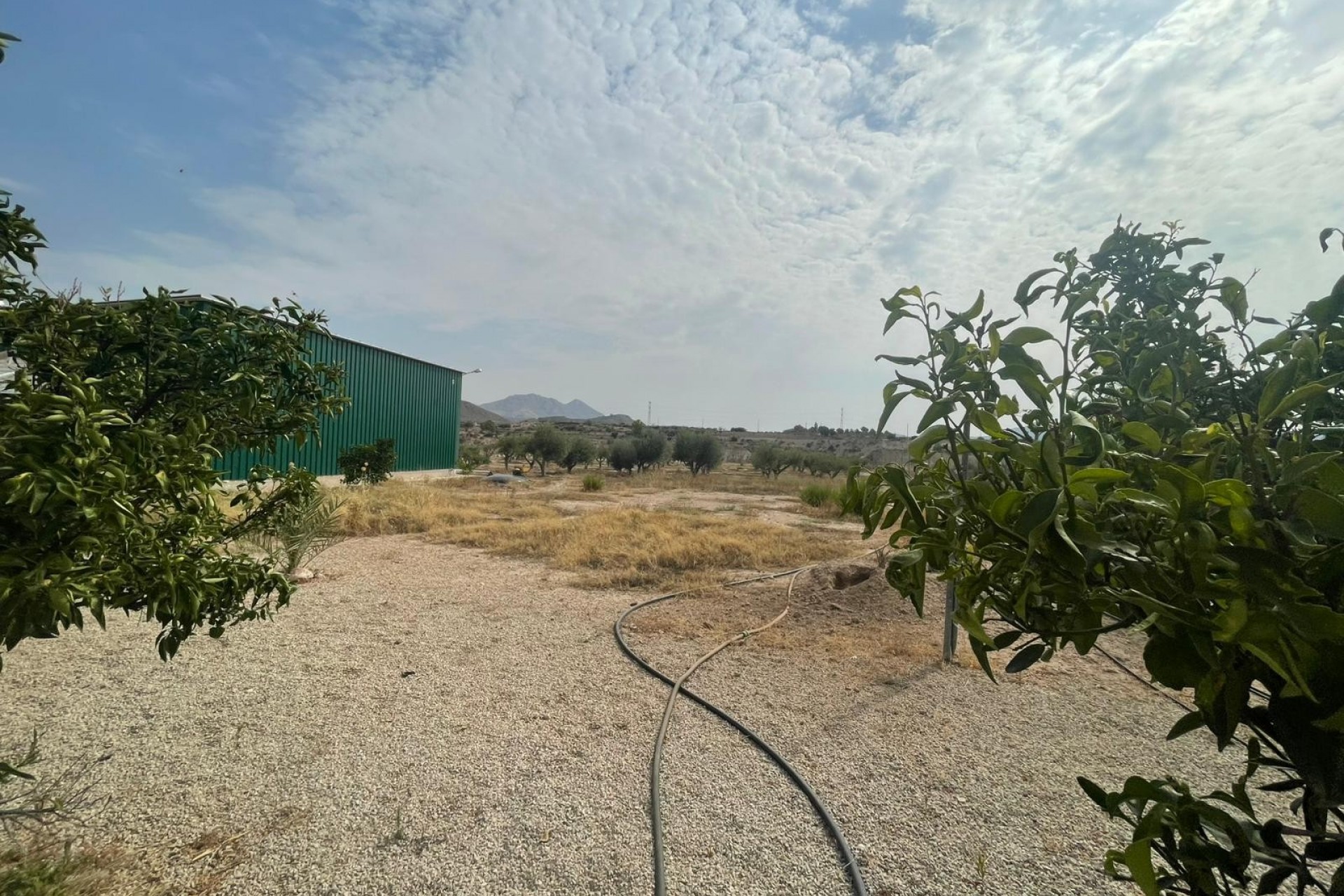 Resale - Country House -
Abanilla