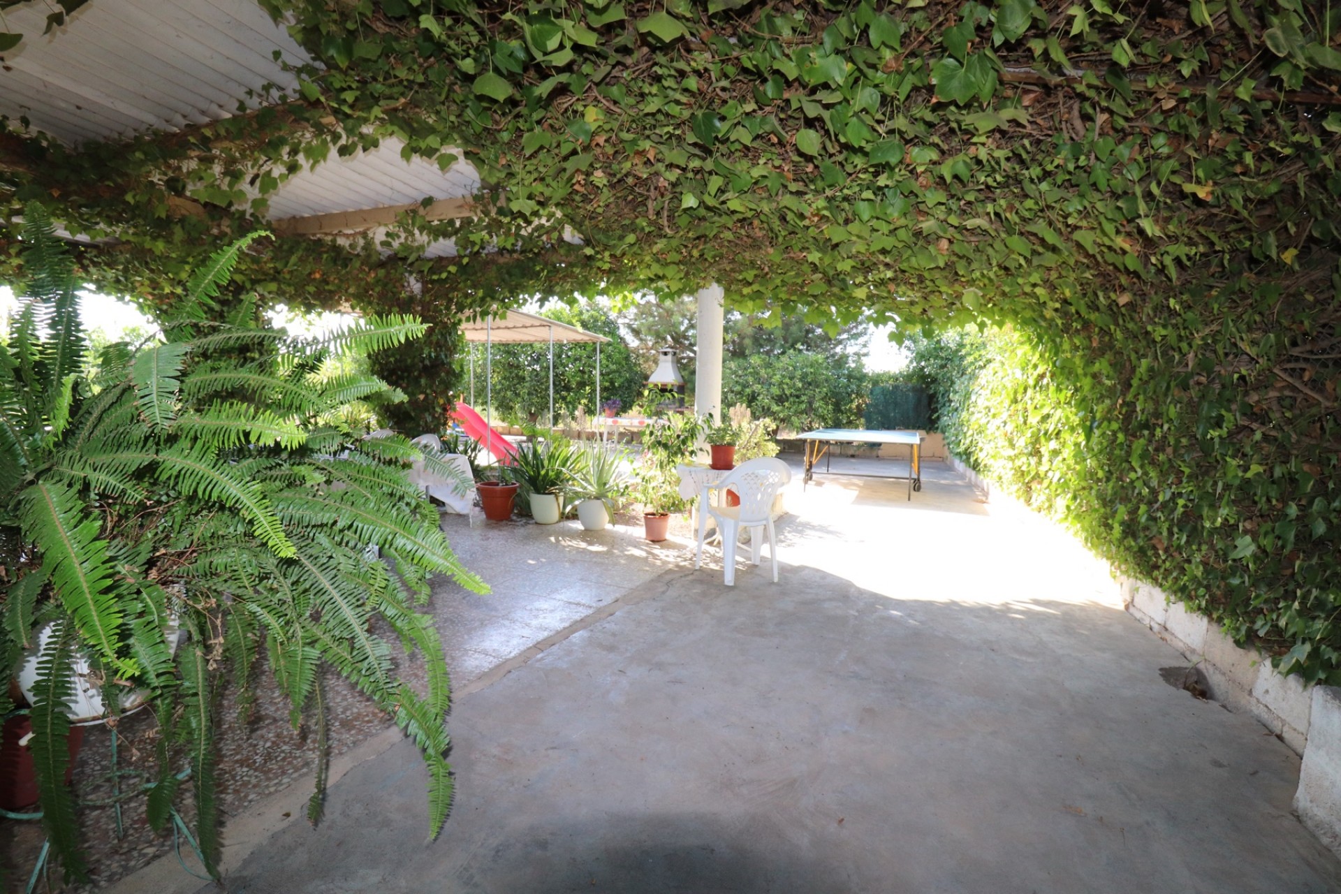 Resale - Country House -
Albatera