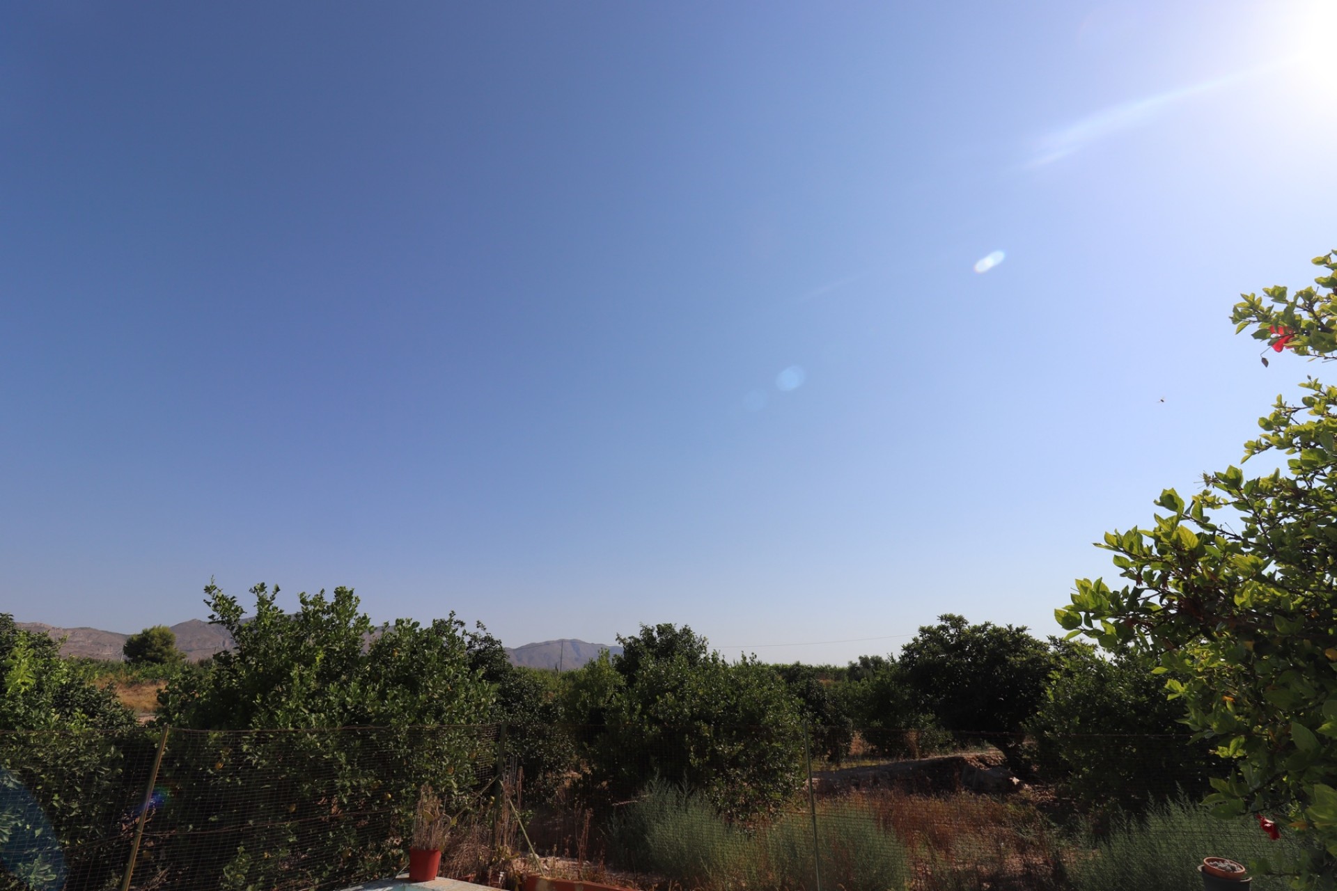 Resale - Country House -
Albatera