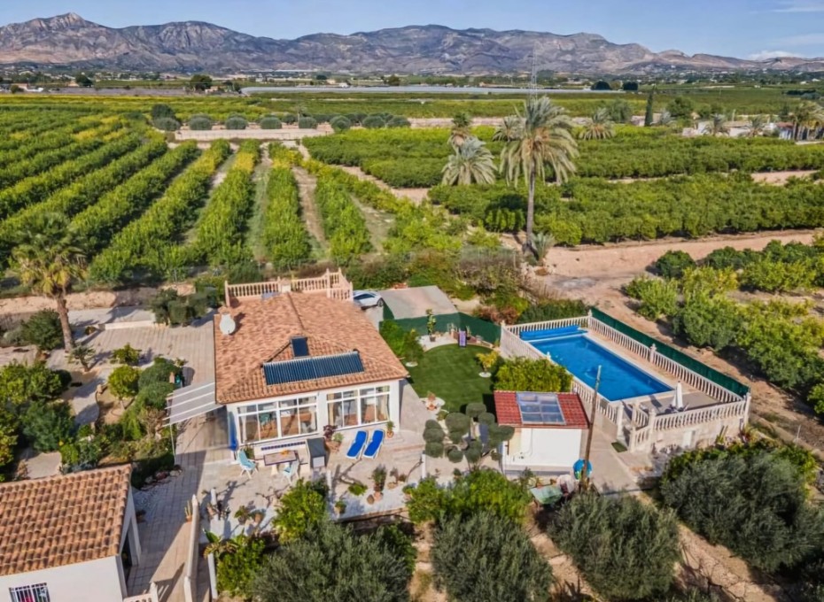 Resale - Country House -
Albatera
