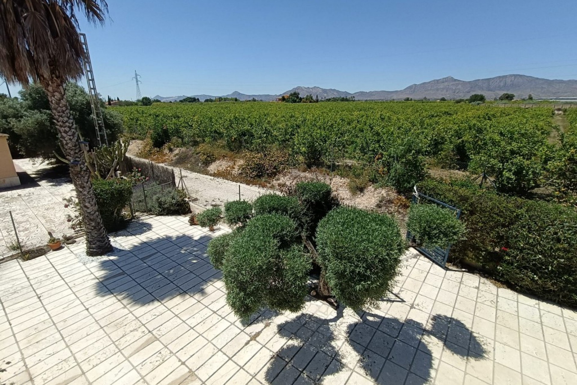 Resale - Country House -
Albatera