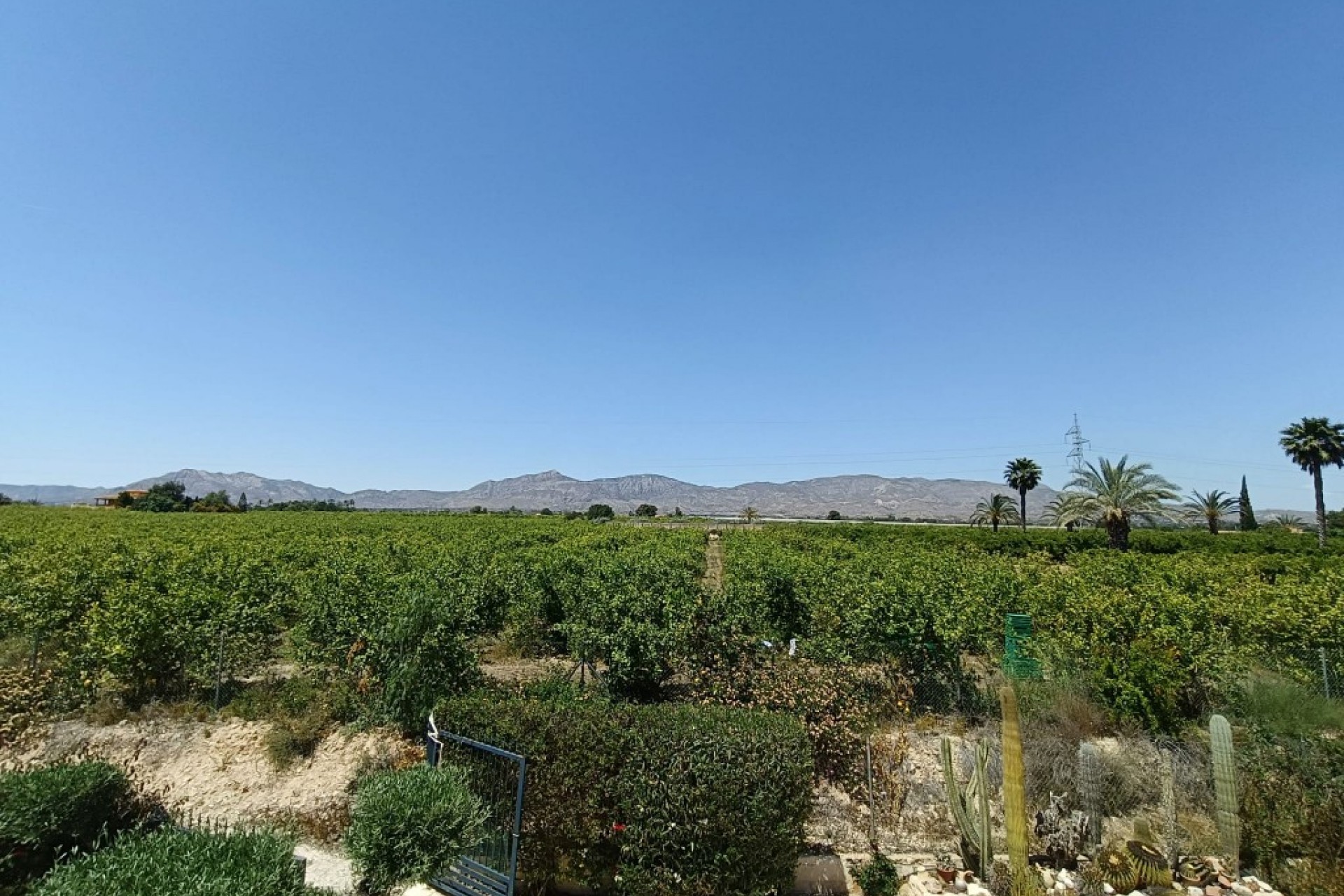 Resale - Country House -
Albatera