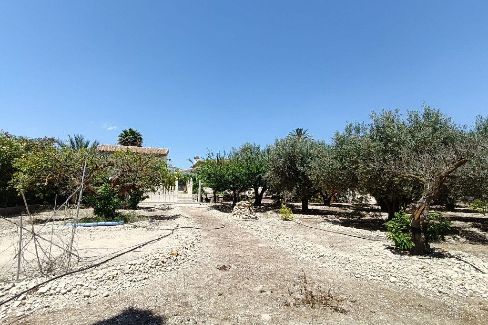 Resale - Country House -
Albatera