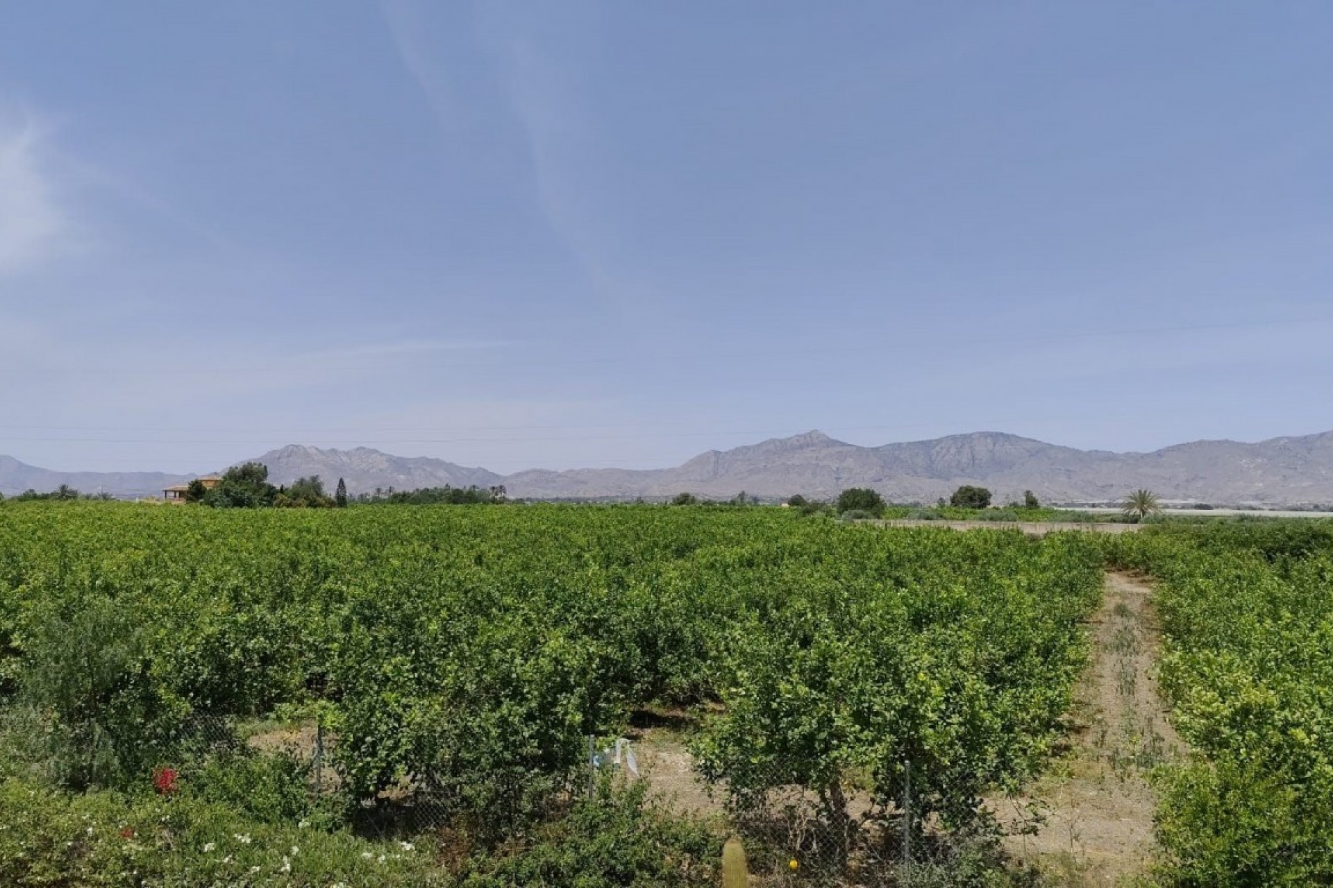 Resale - Country House -
Albatera